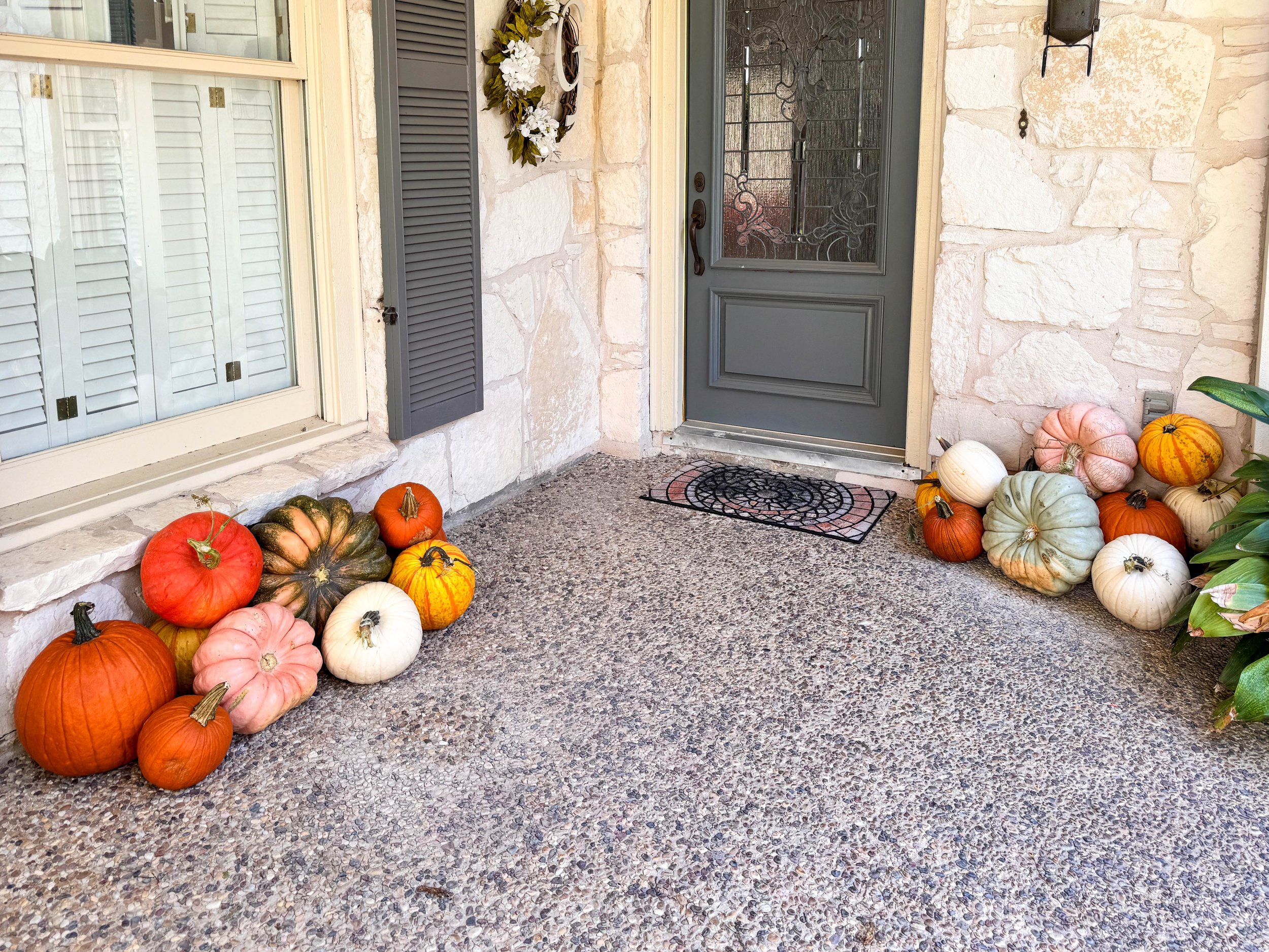 SA-Collective-Pumpkins-Residential-6.jpg