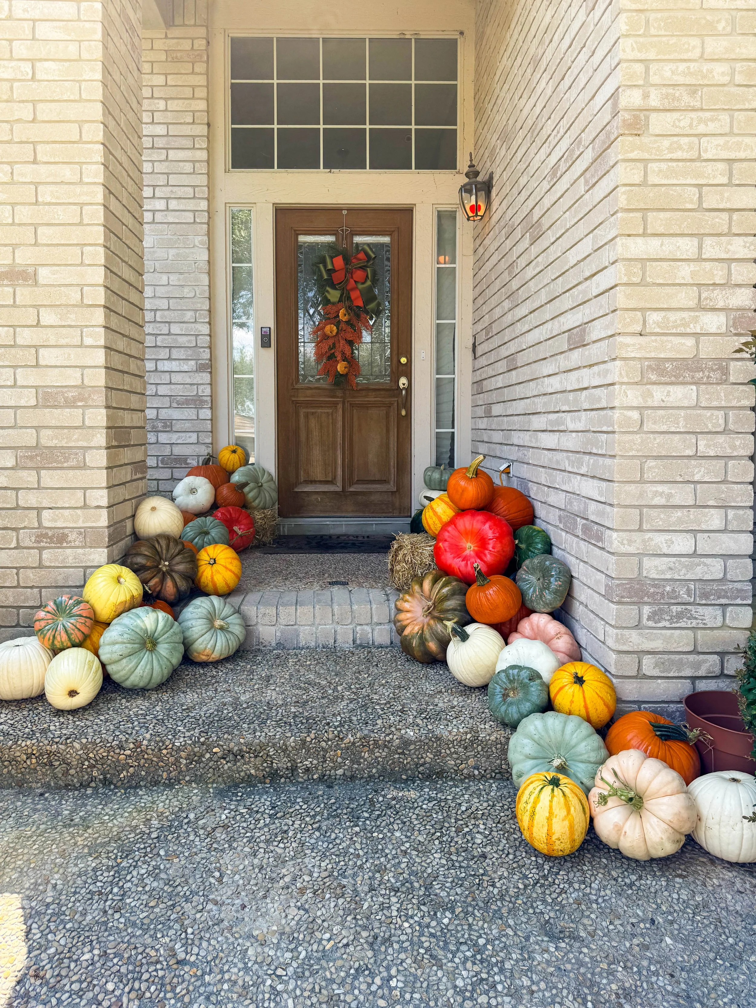 SA-Collective-Pumpkins-Residential-9.jpg