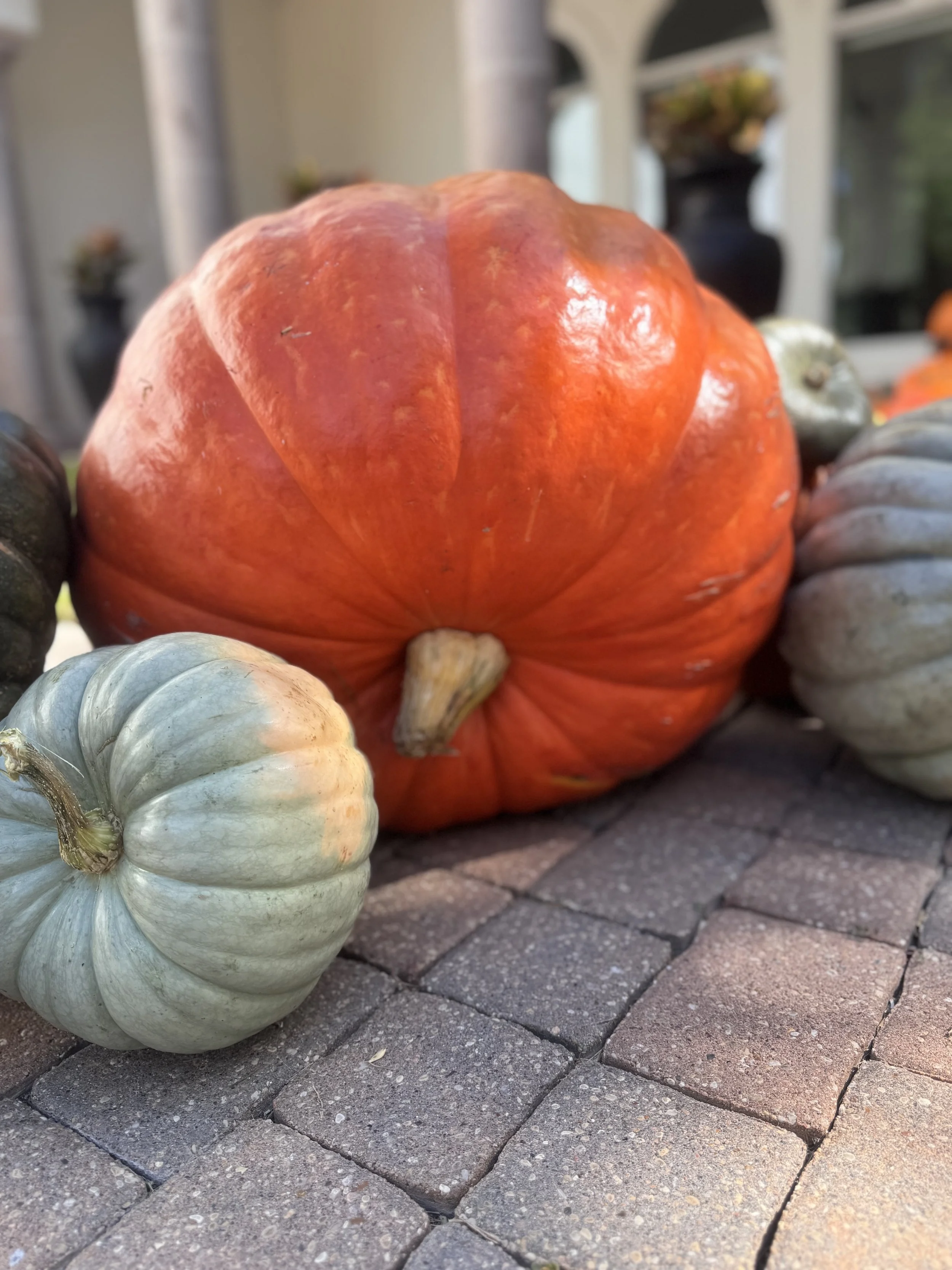 Grand Pumpkin
