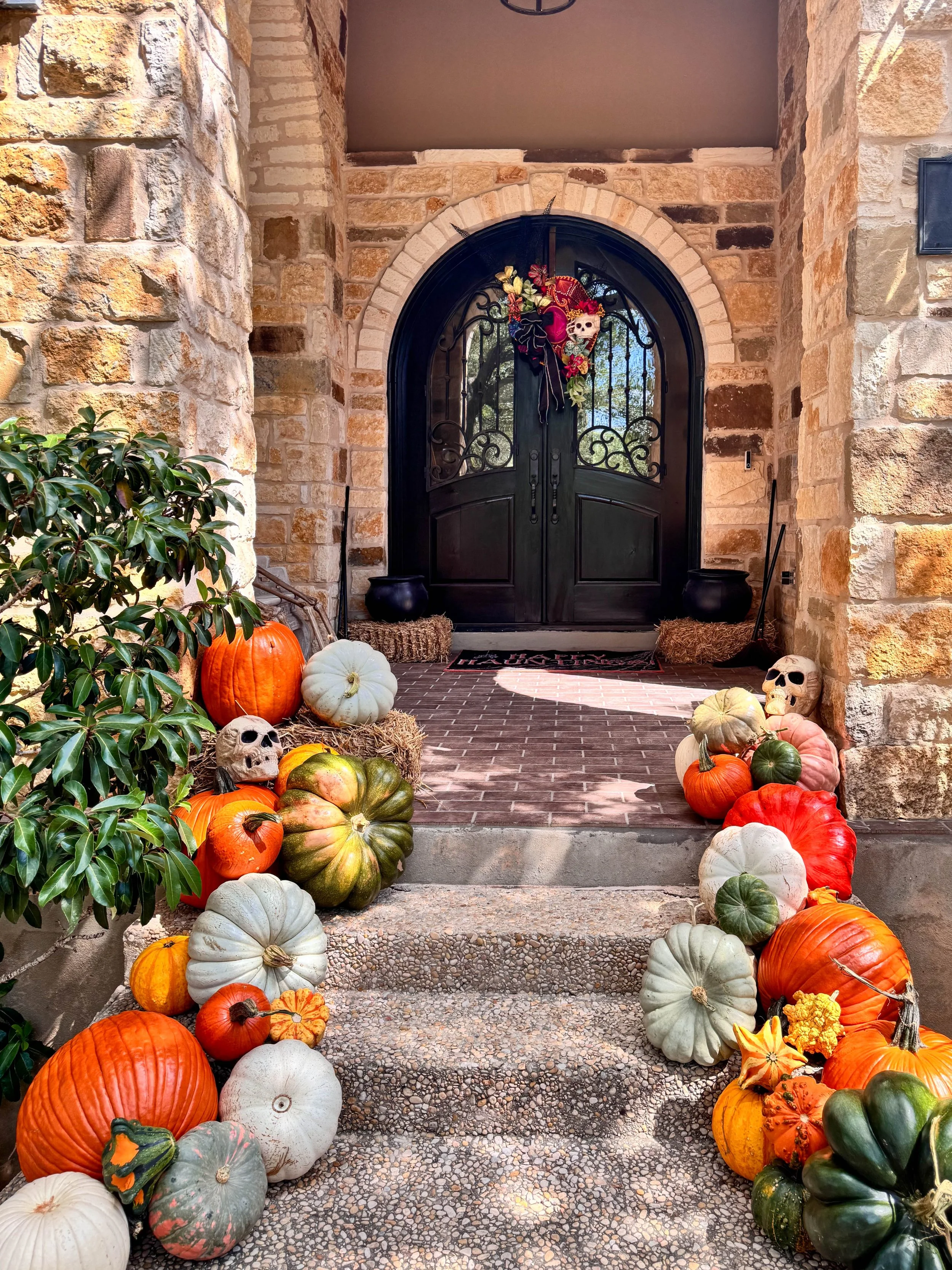 SA-Collective-Pumpkins-Residential-12.jpg
