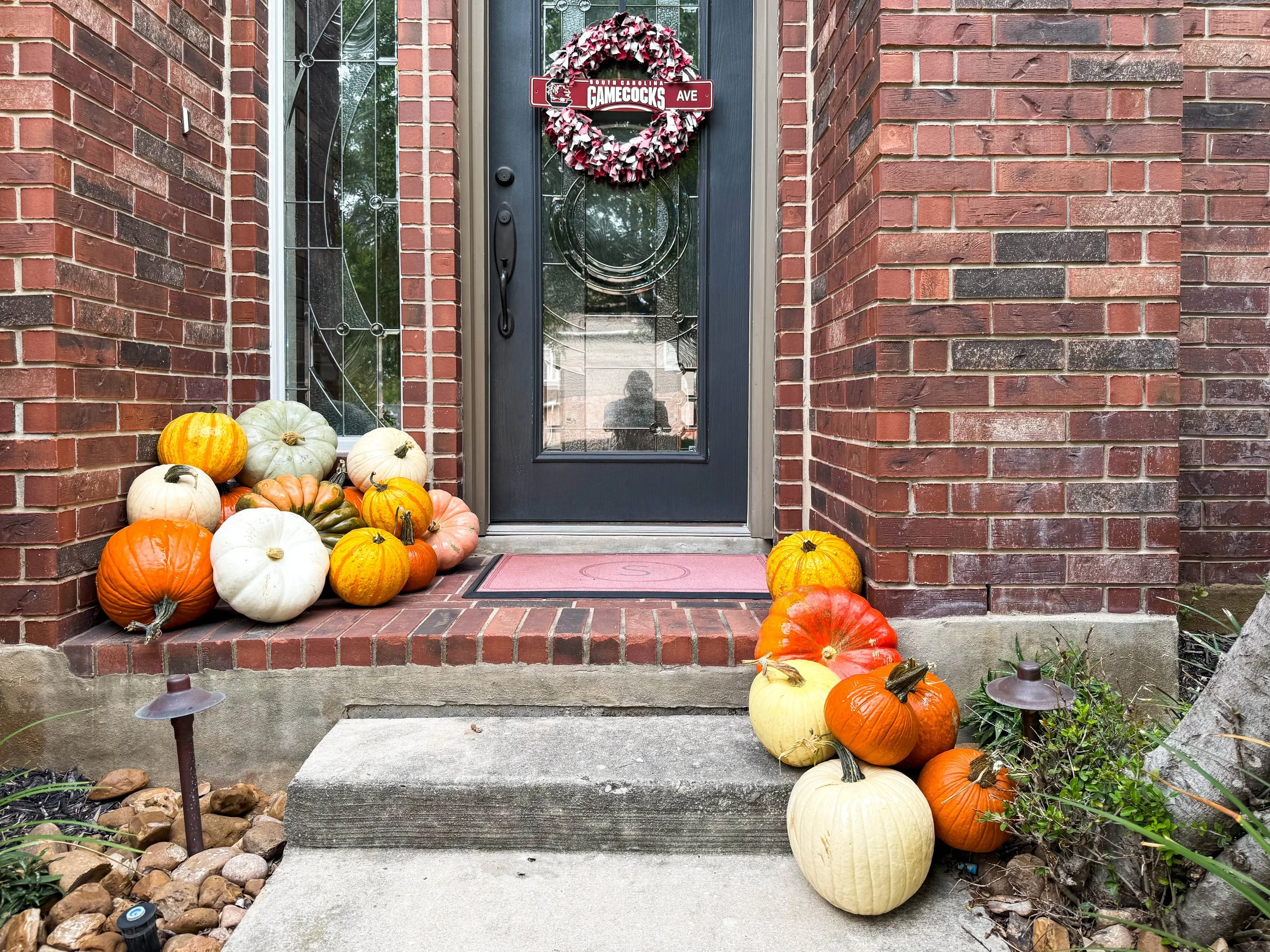 SA-Collective-Pumpkins-Residential-7.jpg