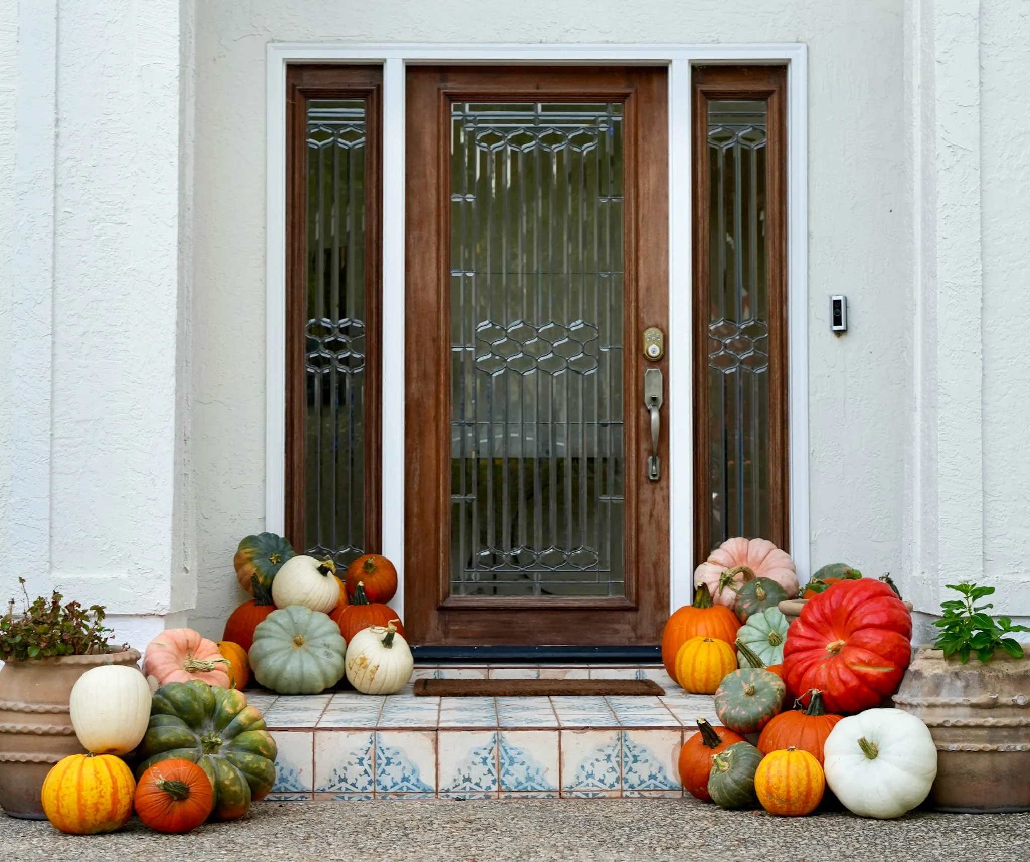 SA-Collective-Pumpkins-Residential-3.jpg