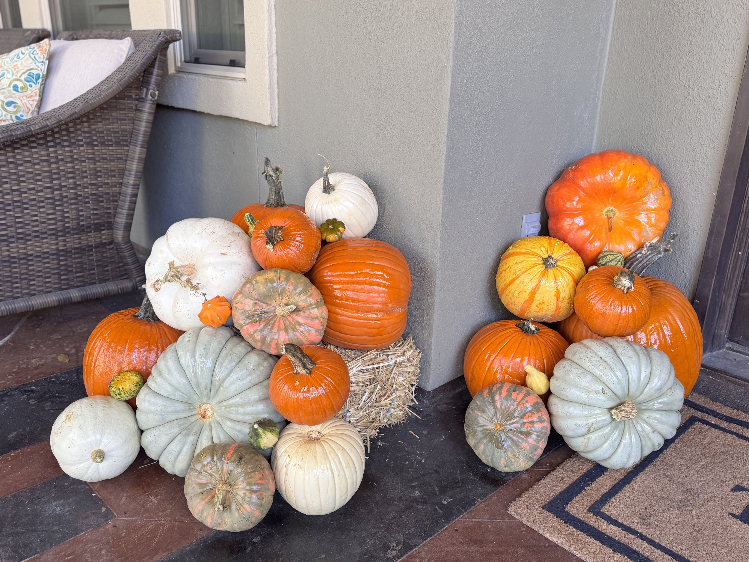2025-10-14 13.15.30.jpg