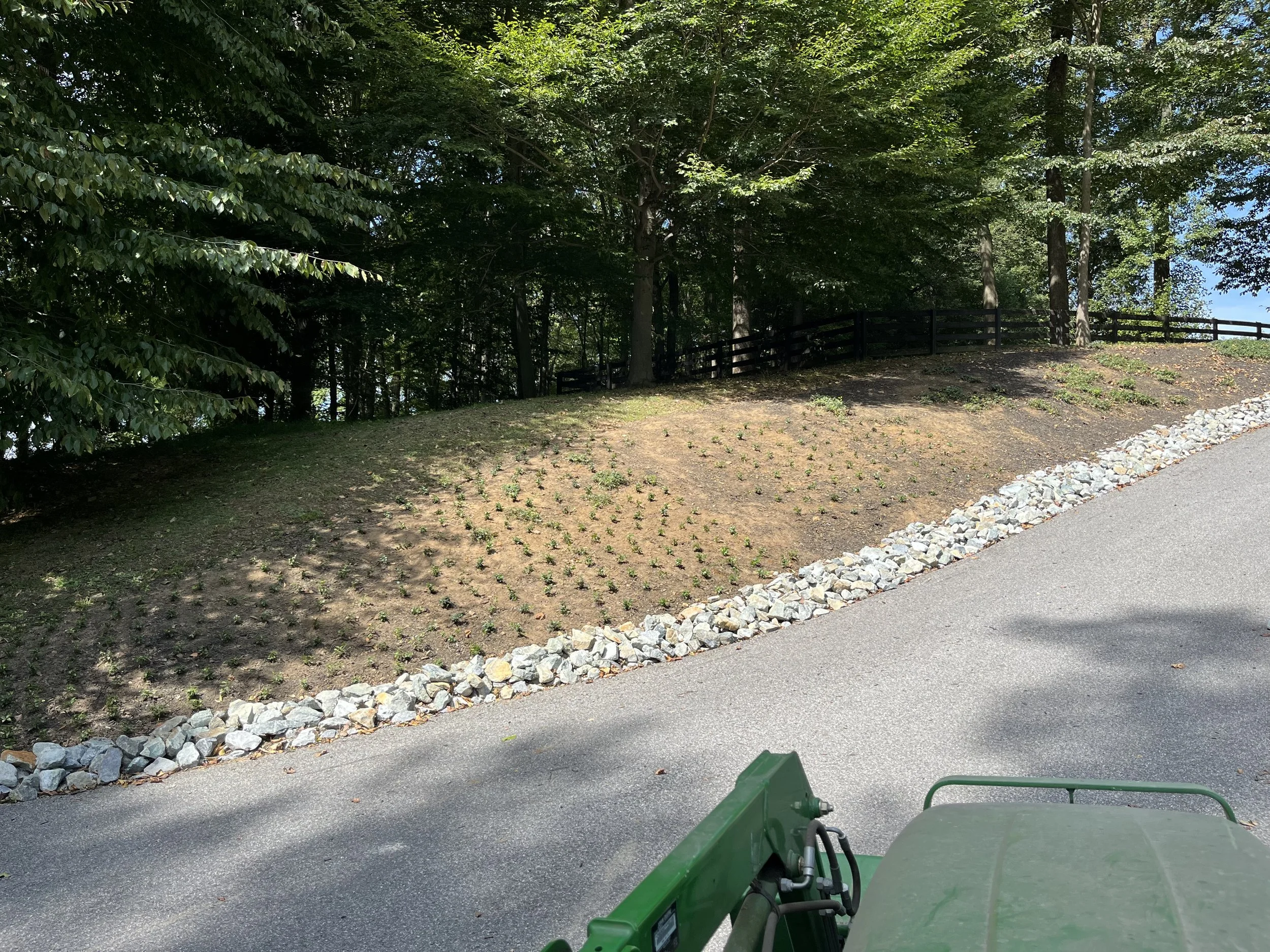 View of a sloped dirt and grass area with small plants, bordered by rocks along a paved road. Trees in the background, some with tall wooden fencing.