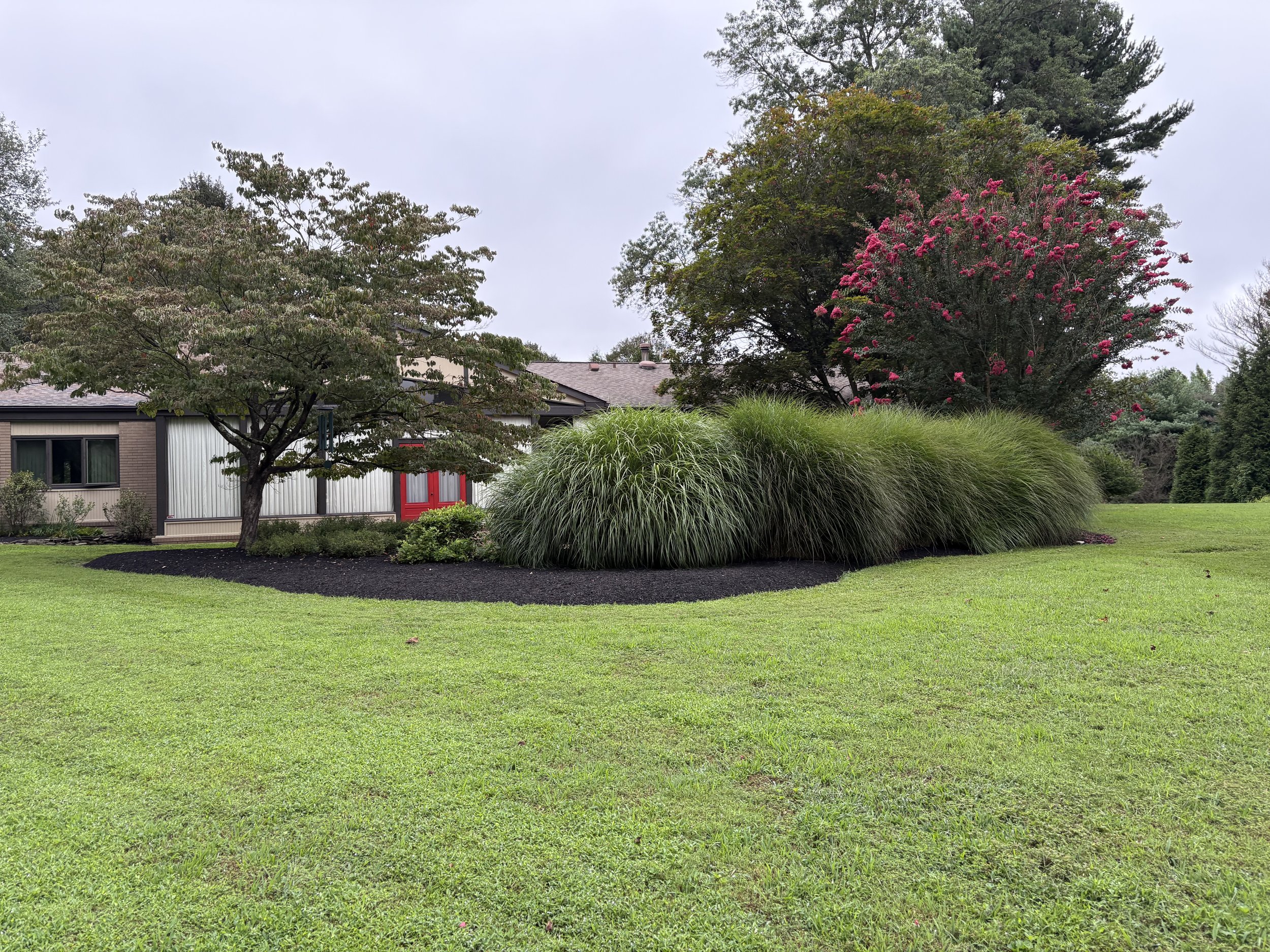 A well-maintained front yard with a house, various trees, and ornamental grasses.