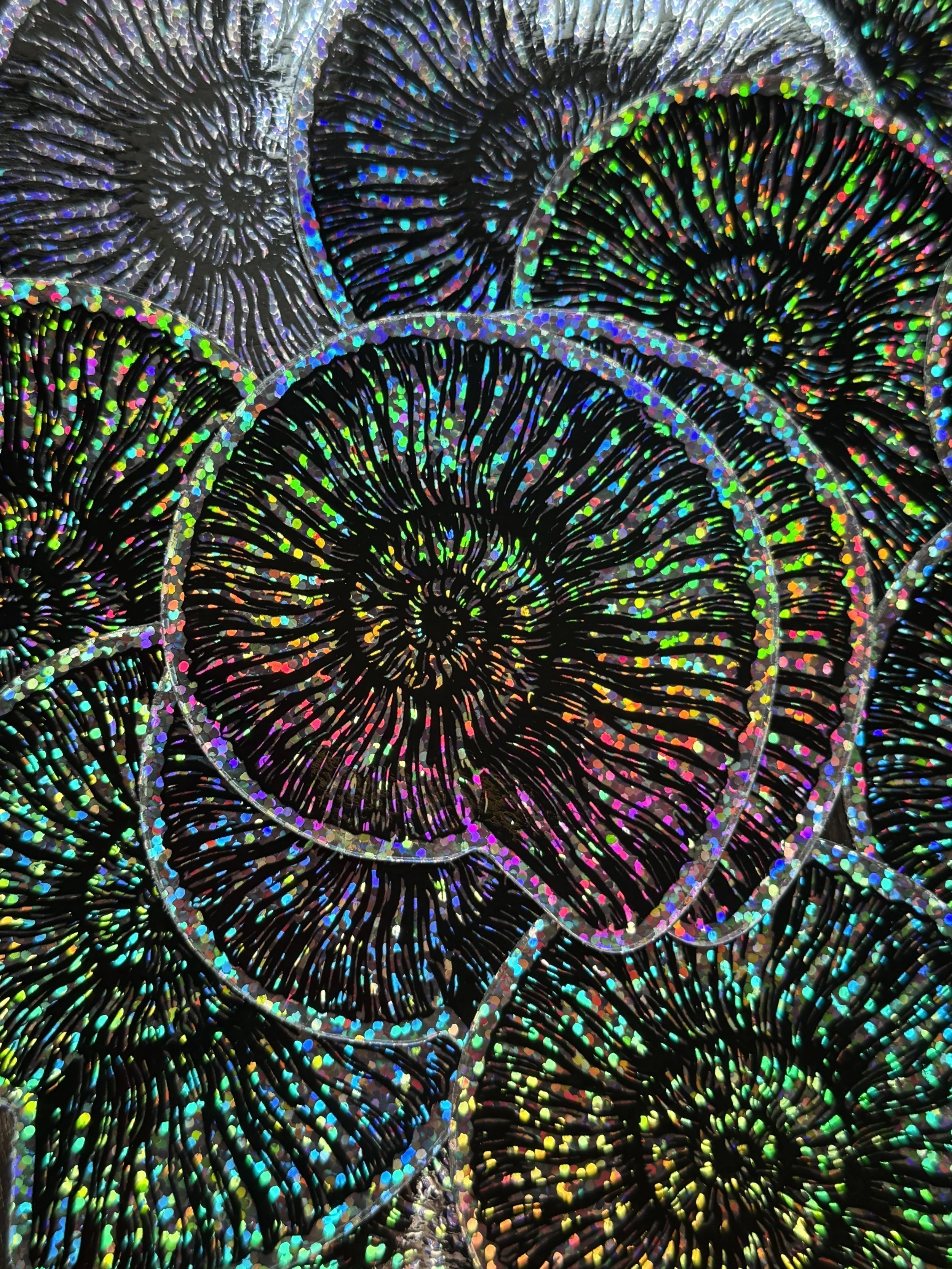 Ammonite Fossil Sparkly Sticker