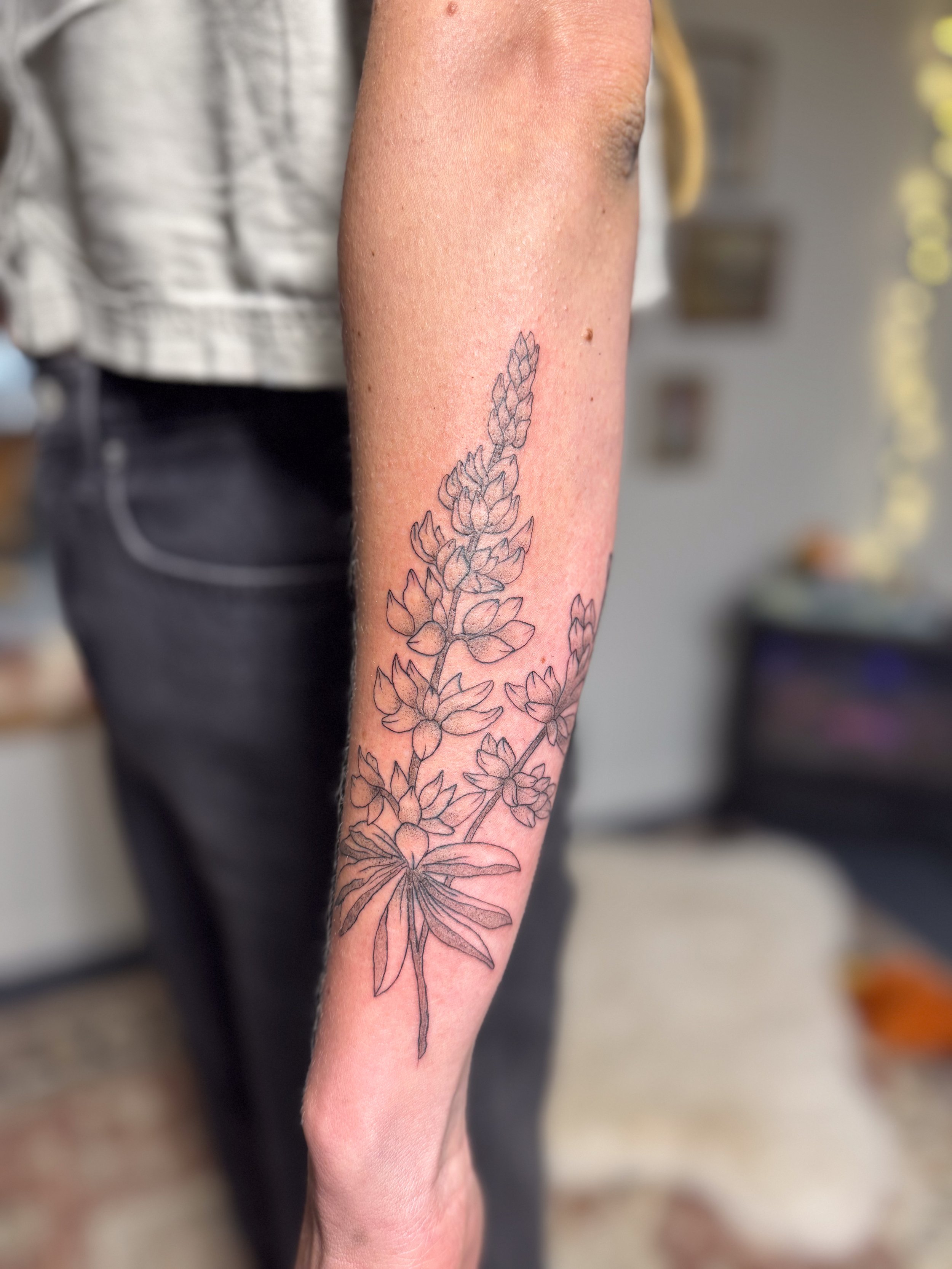 A fresh black outline tattoo of a lupine plant on a person's forearm, featuring elongated leaves and multiple small blossoms, with a blurred indoor background.