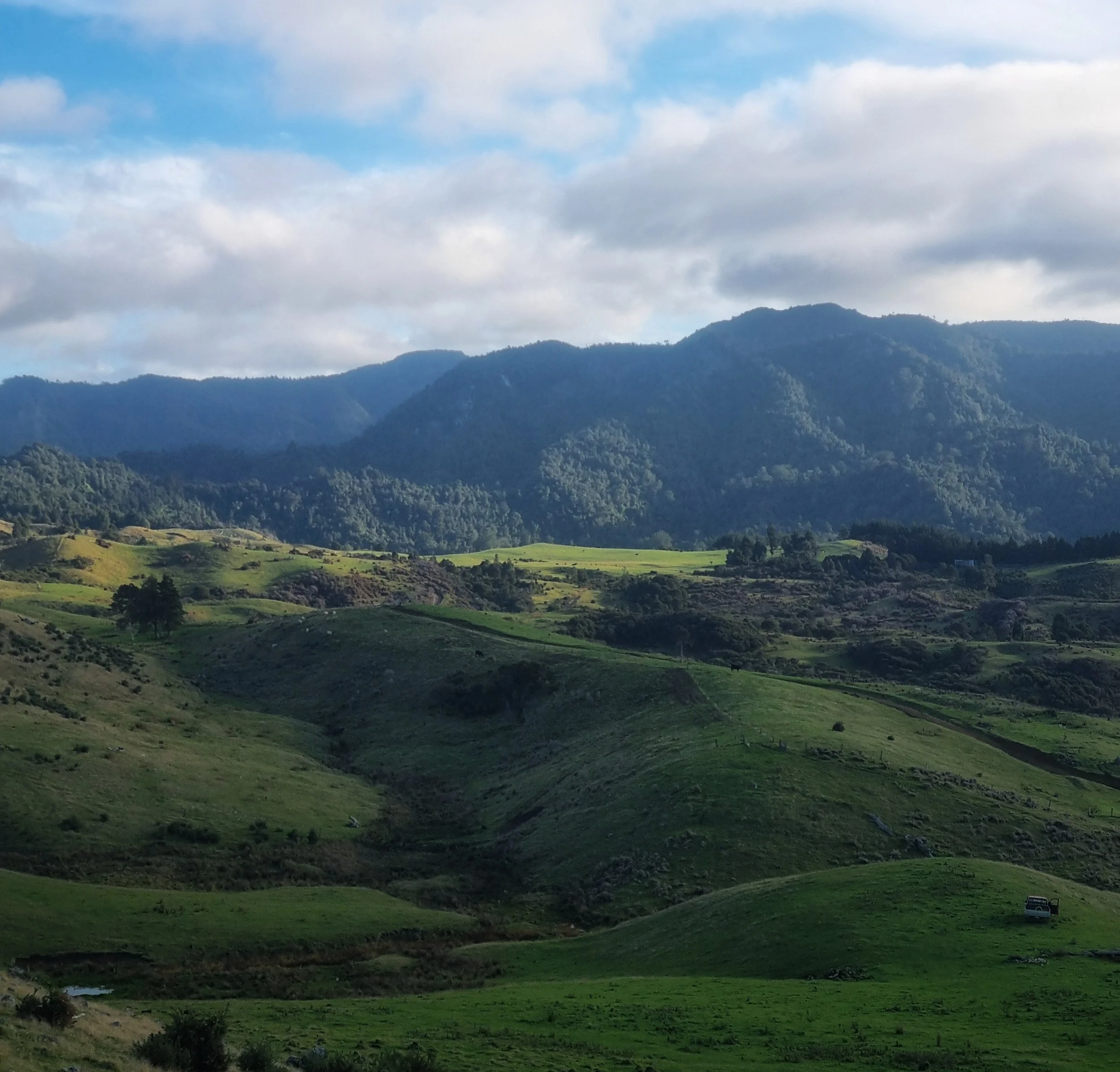Lush green rolling hills with a mountainous backdrop under a partly cloudy sky.