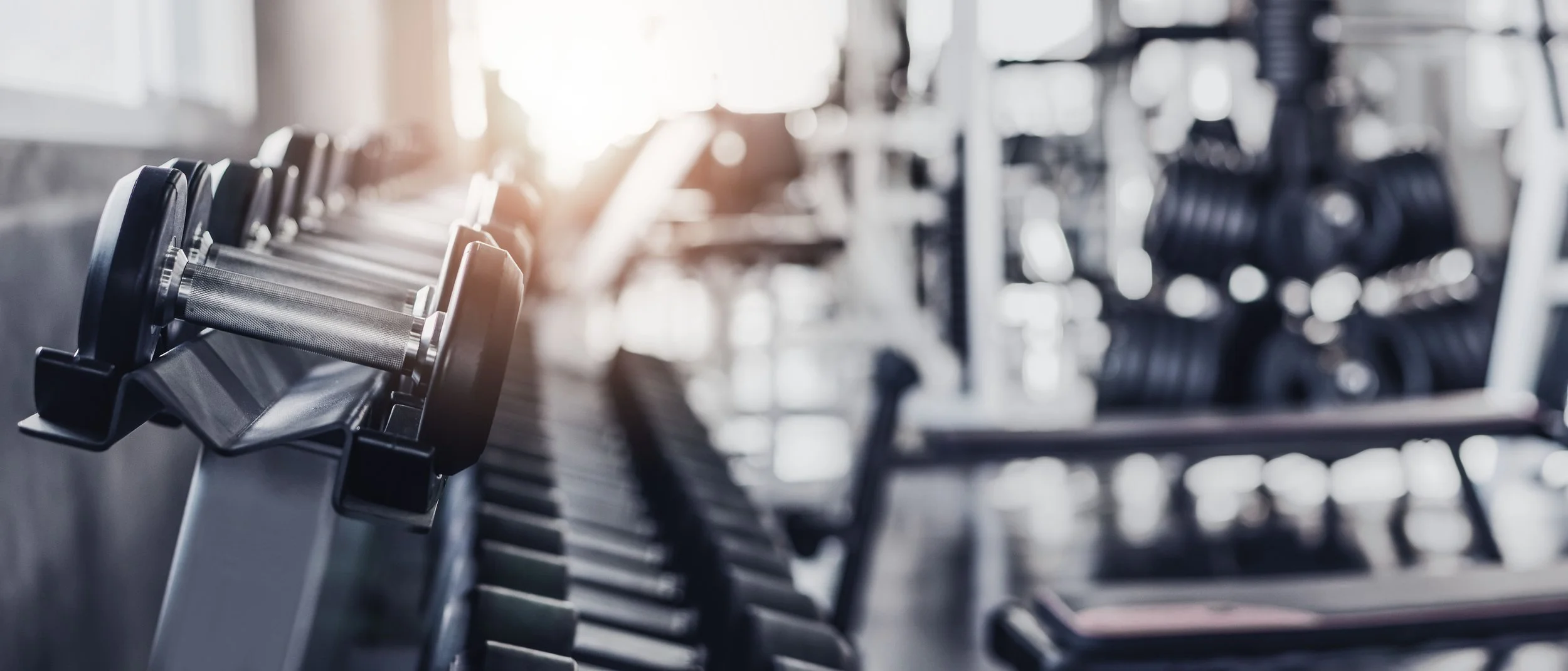 Artistic Shot of Dumbbell Rack