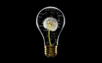 Innovation in business with Women In Tourism