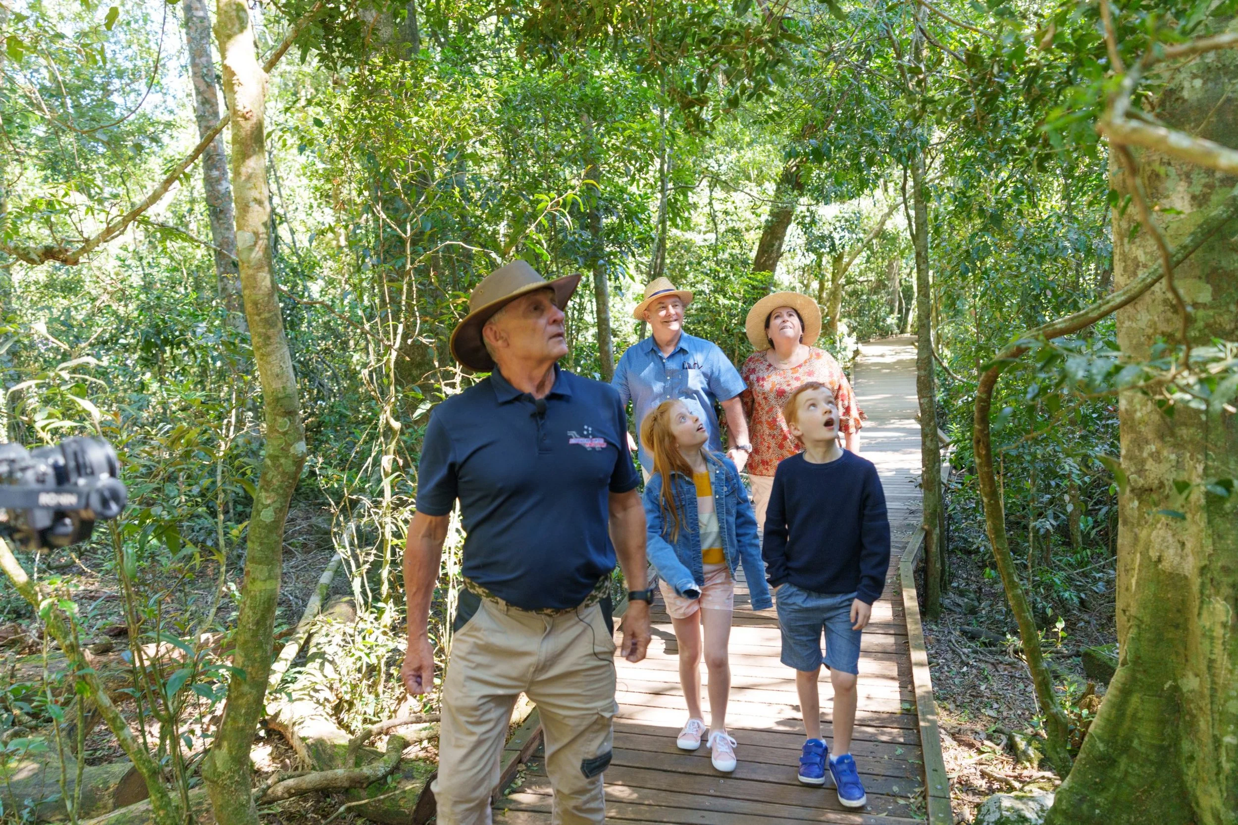 Five people, including two children and three adults, are walking on a wooden trail through a lush green forest. They are wearing hats and casual clothing, and are looking up, possibly observing something interesting in the trees.