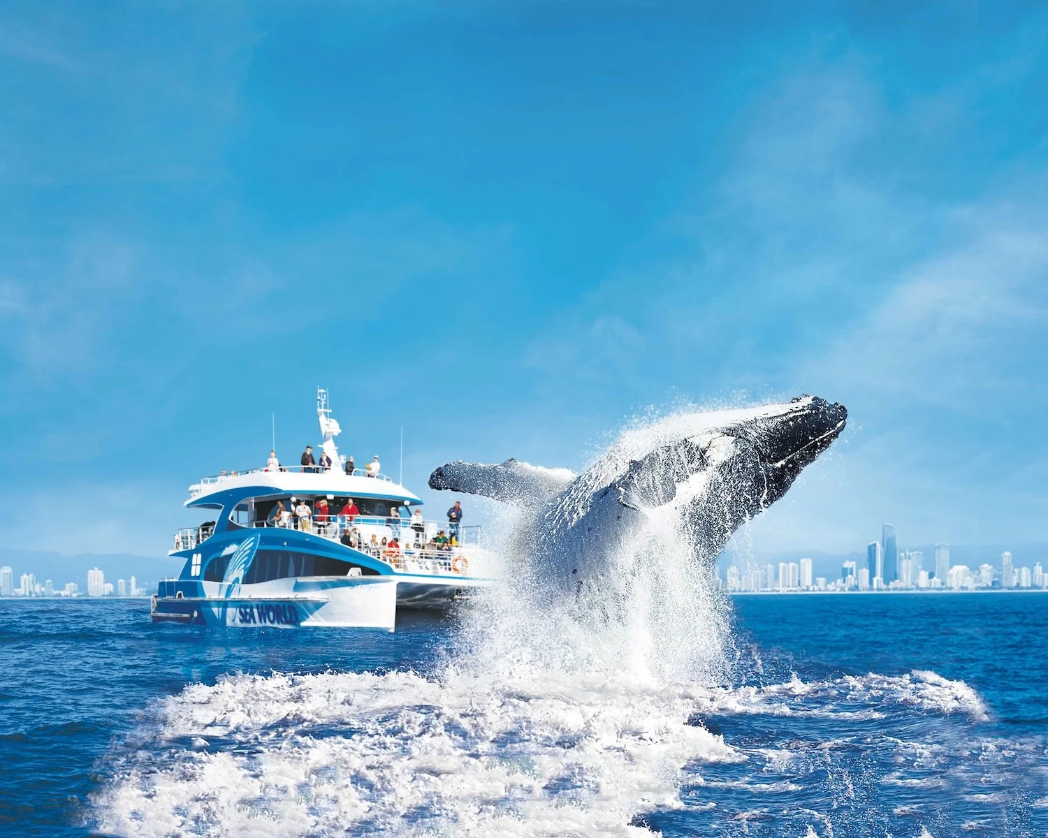 A whale breaching the water next to a blue cruise boat labeled 'Sea World' with city skyline in the background.