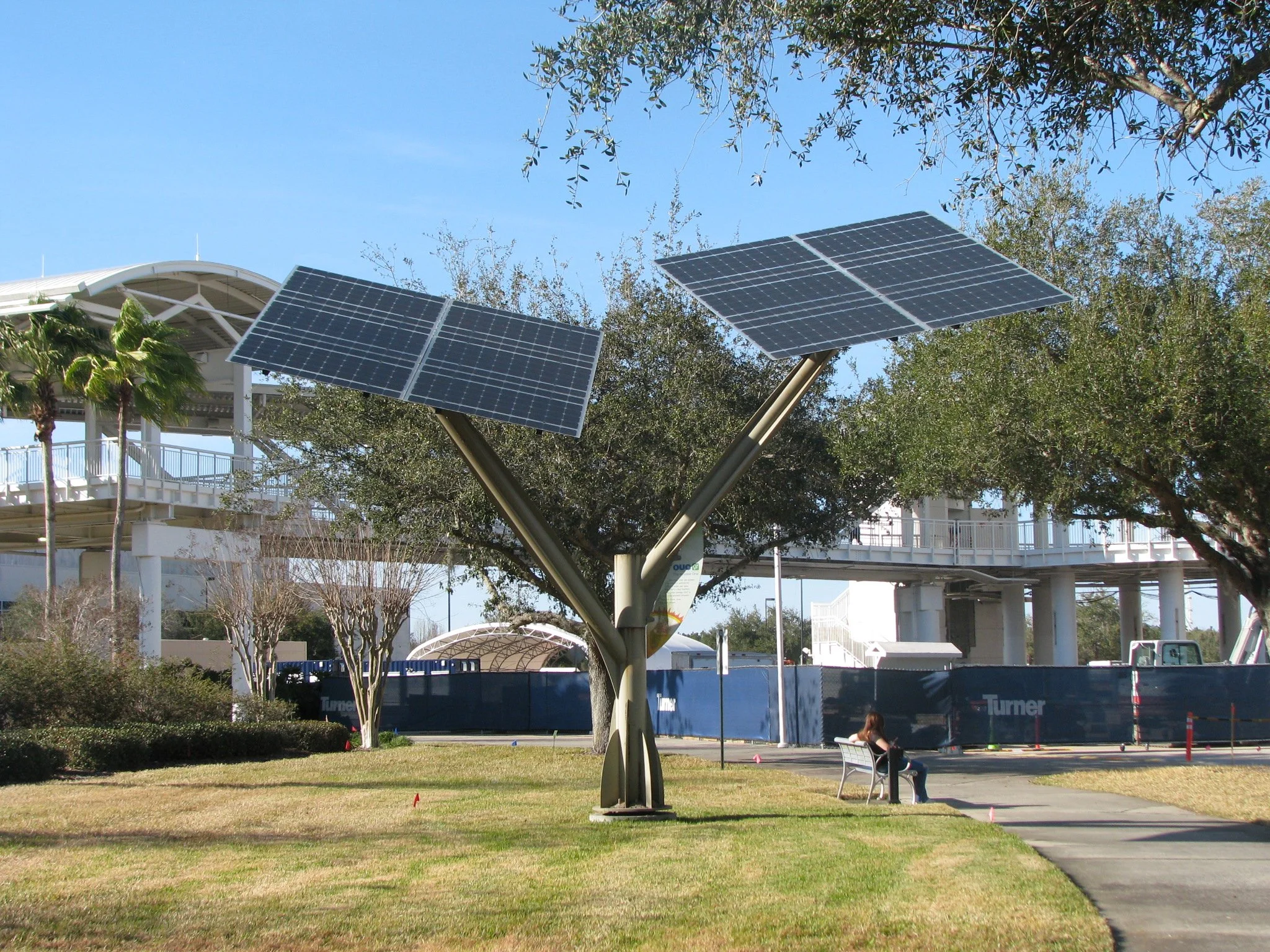 Solar Tree.JPG
