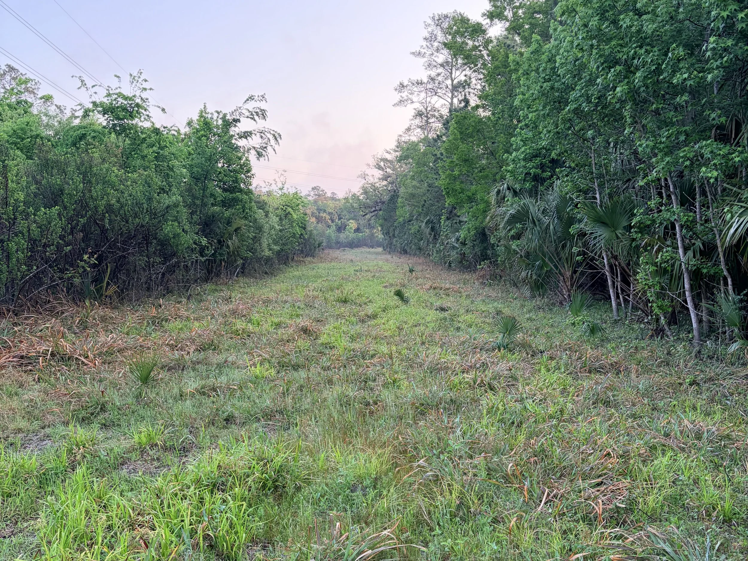 Central_Florida_Preservation.jpg