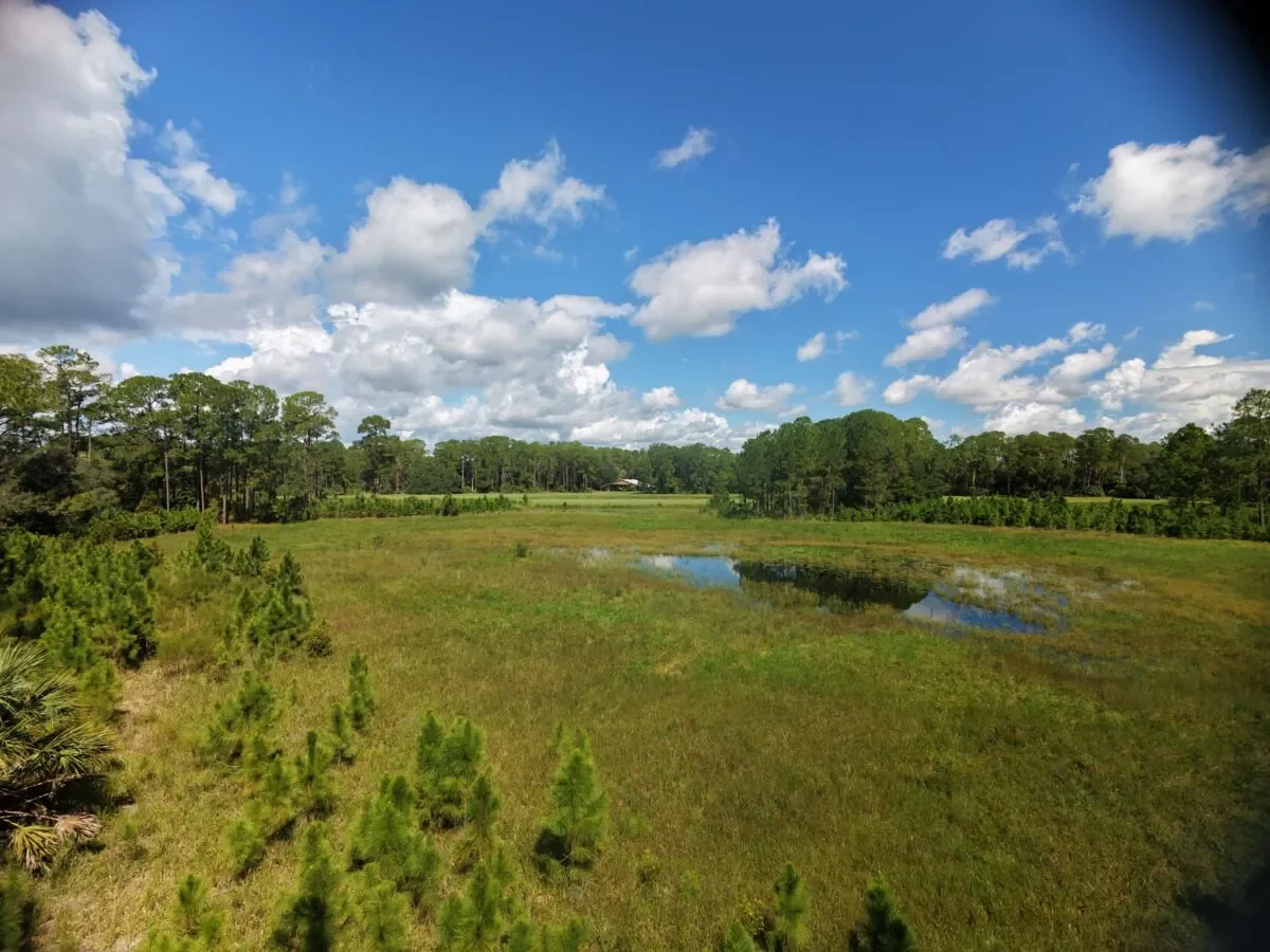 Embry-Riddle continues to push for a private airstrip in the Ocala National Forest.