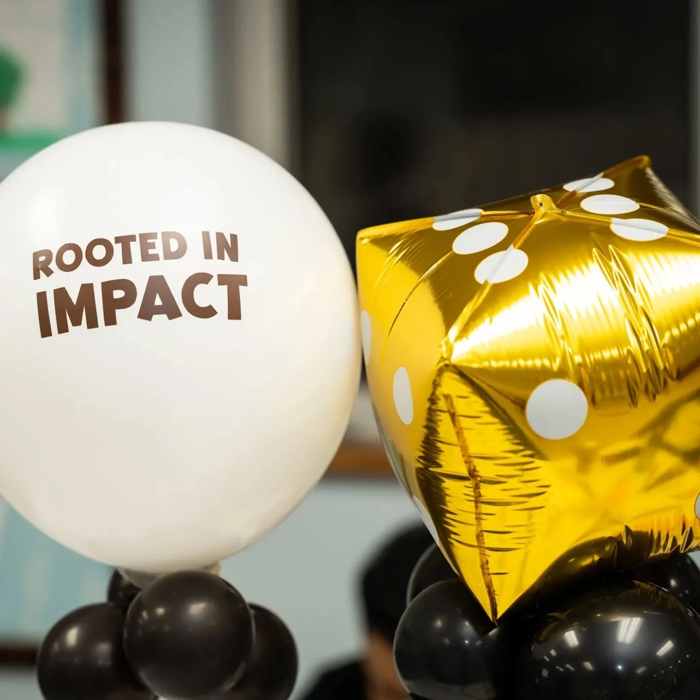Impact Roots Program