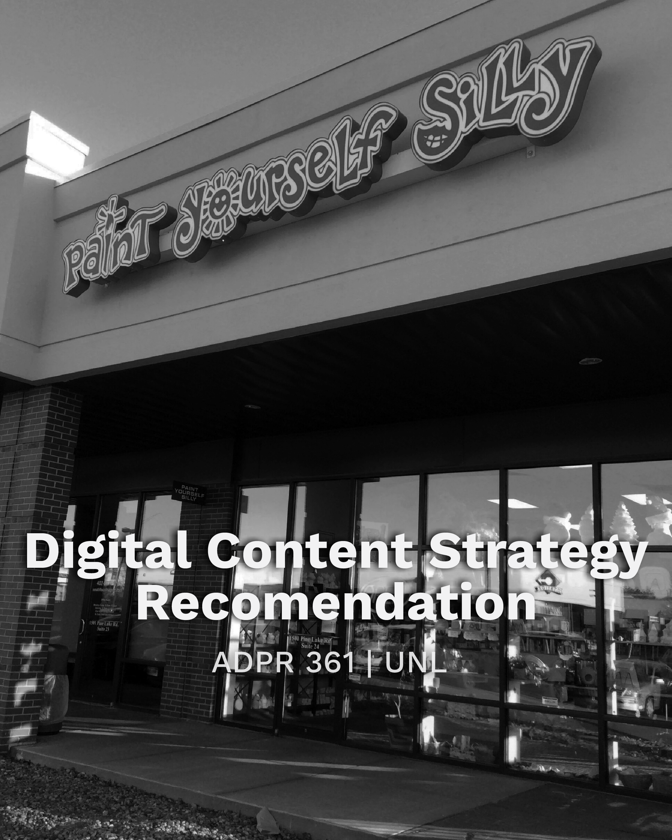 Paint Yourself Silly Digital Content Recommendations (ADPR 361)