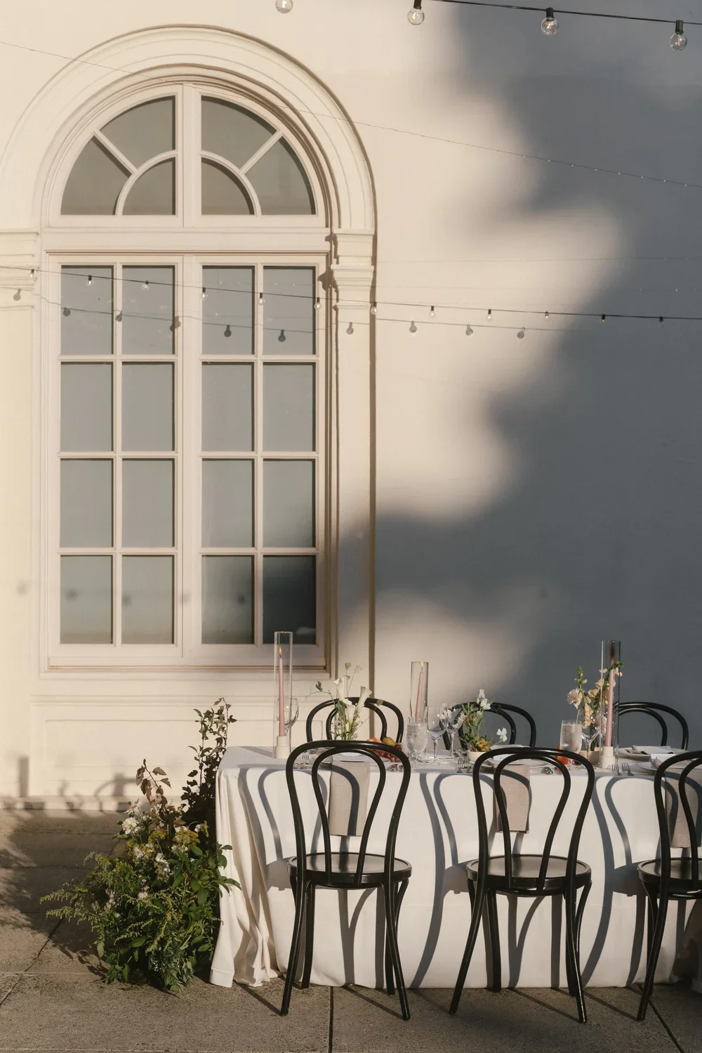 Designed for A Lily Among Thorns