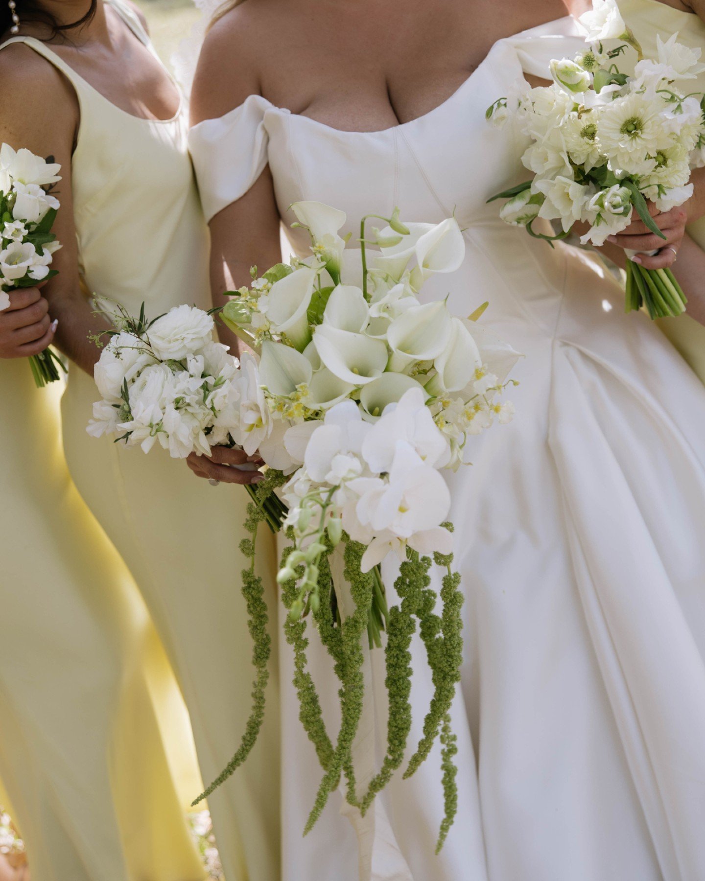 A first look into Eliza and Bryce&rsquo;s wedding day, where soft butter yellow and fresh greens set the tone for something timeless and refined. Just a glimpse of a day that felt as elevated as it was effortless.🕊️🌿✨

#RaleighWeddingPhotographer #