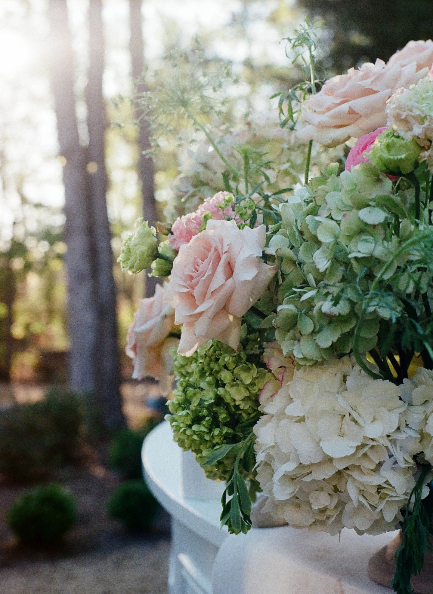 Courtney and Austin's spring wedding on film 🎞️

#ncweddingphotographer #charlestonweddingphotographer #savannahweddingphotographer #luxurywedding