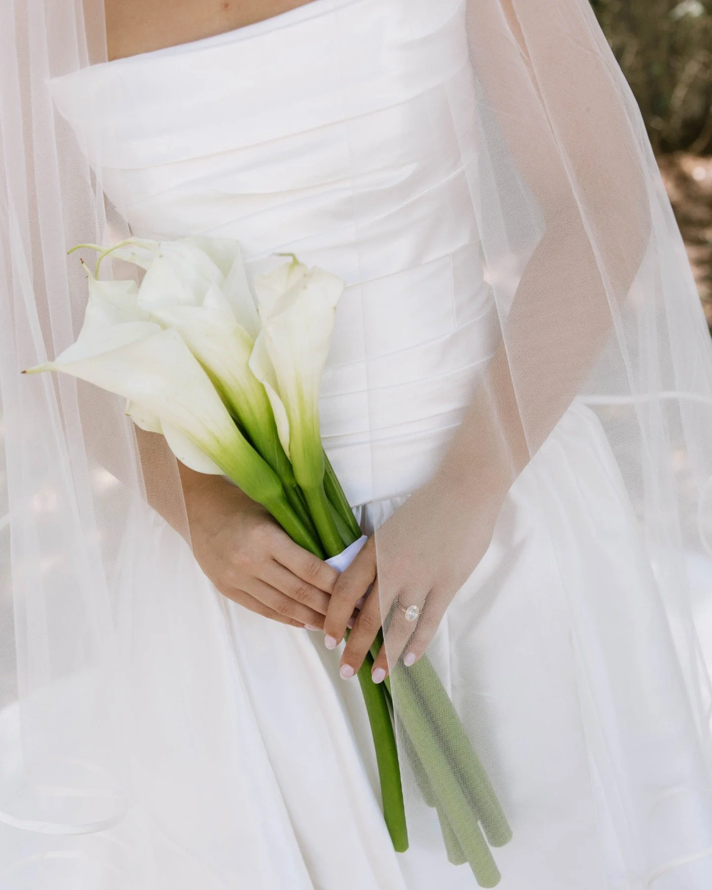 Introducing the Davies🕊️💌

#southernweddingphotographer #eastcoastweddings #fineartweddingphotographer #filmweddingphotographer #documentaryweddingphotography