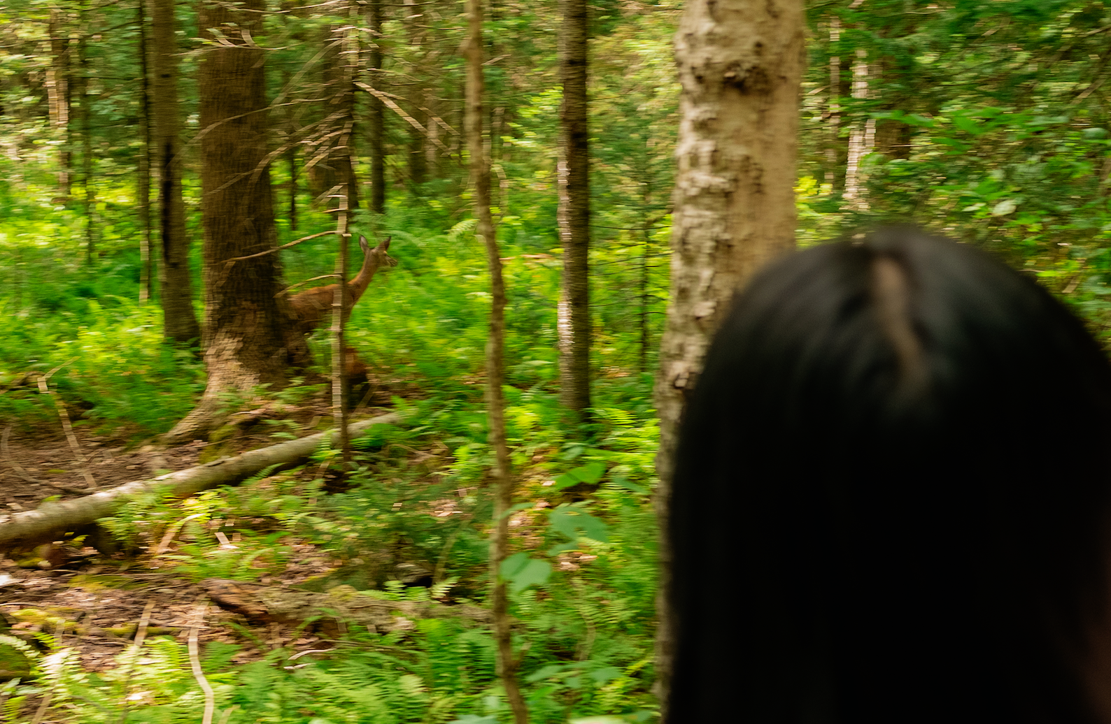 Screenshot 2025-09-18 at 9.43.37 PM.png