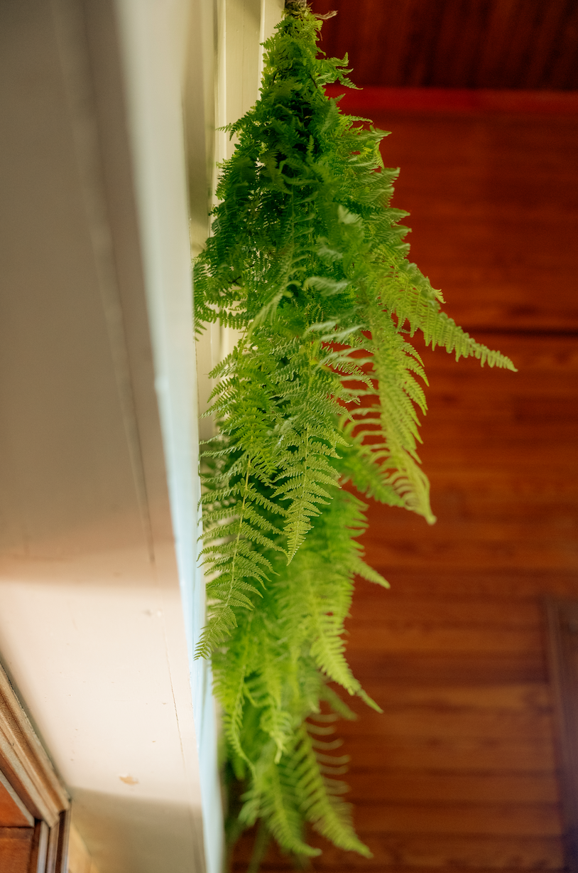 Screenshot 2025-09-21 at 6.49.47 PM.png