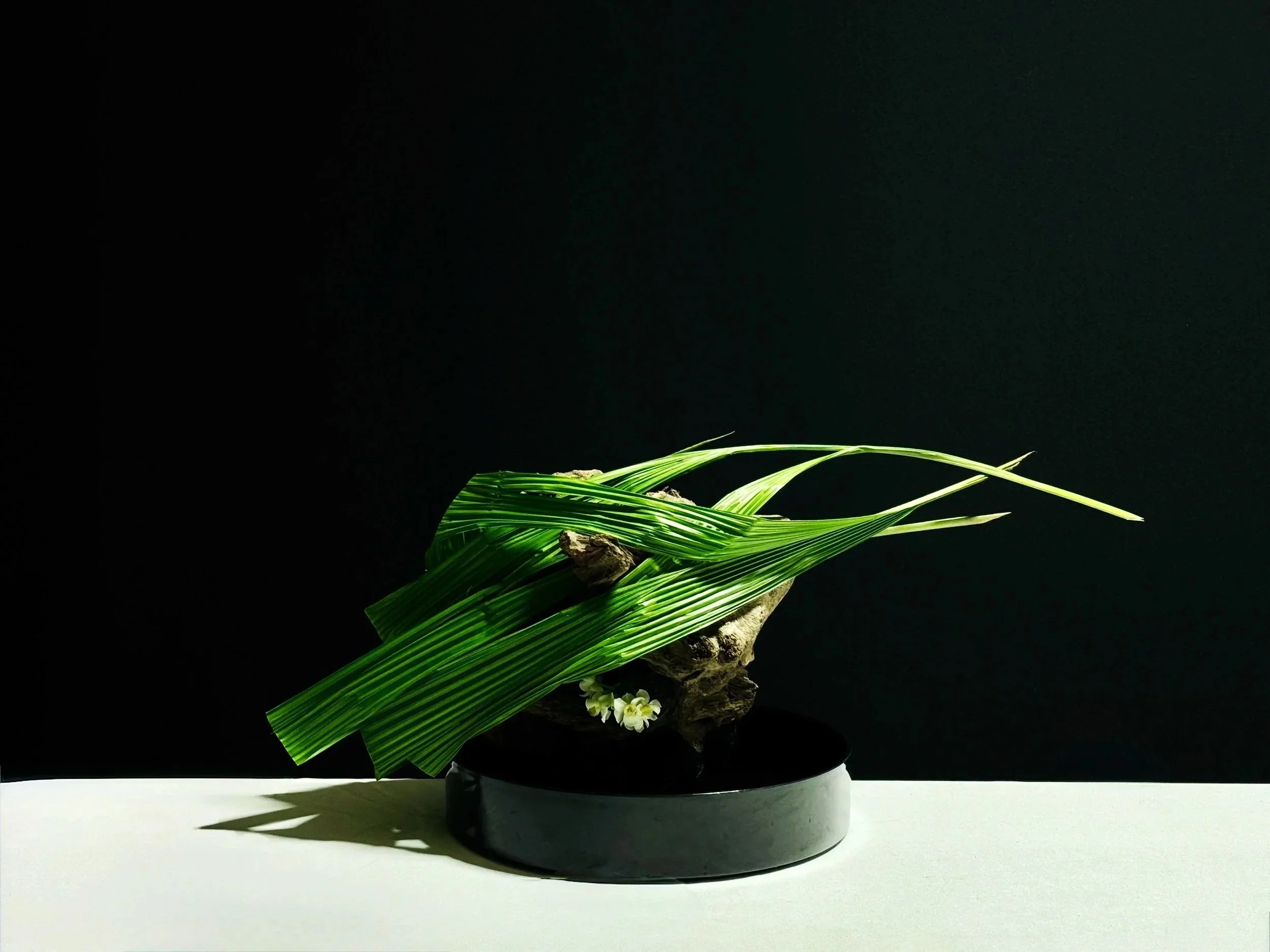 Gust, 2026 · Private Residence · San Francisco, CA