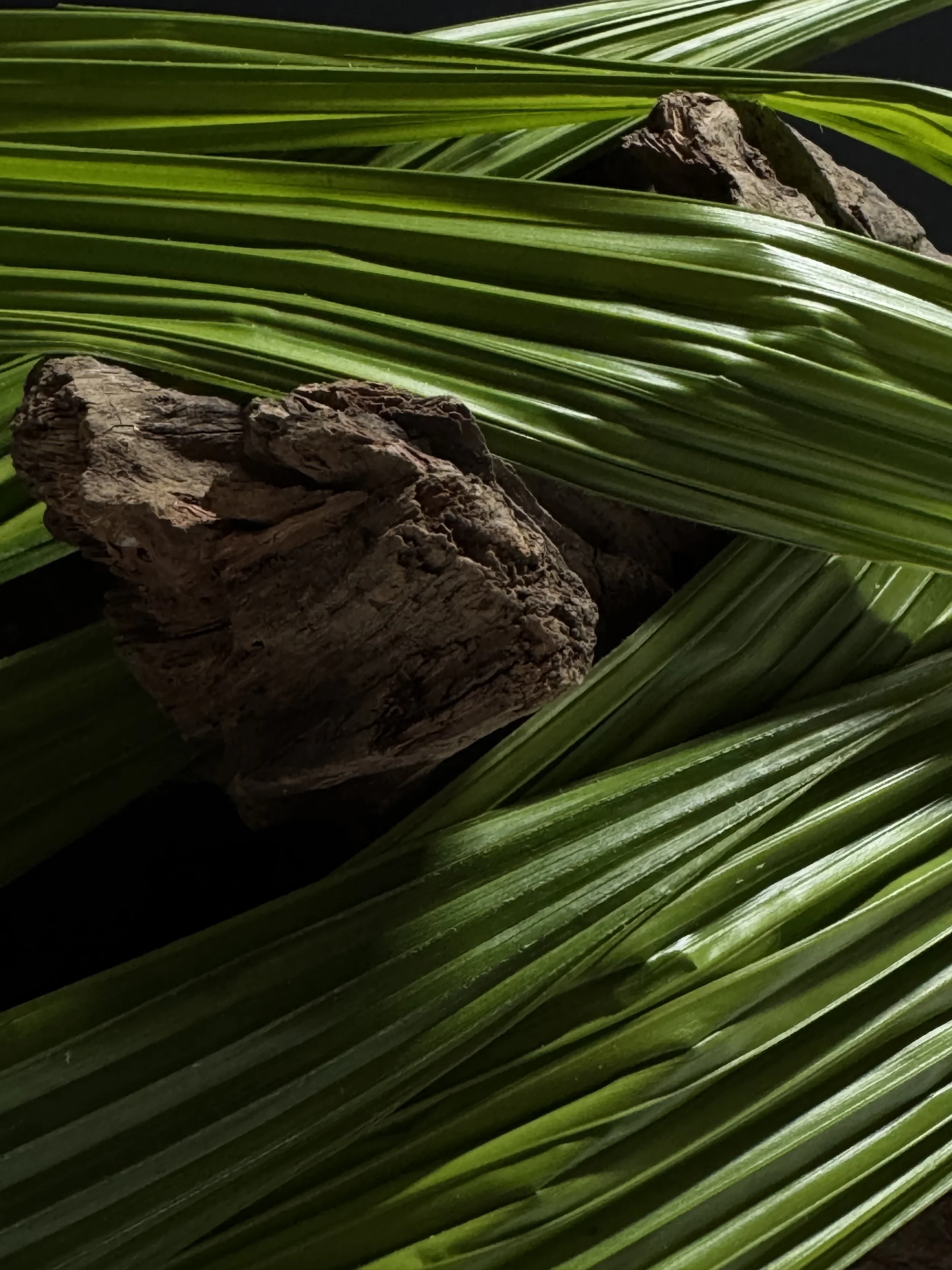 An image of the Cultural Center.