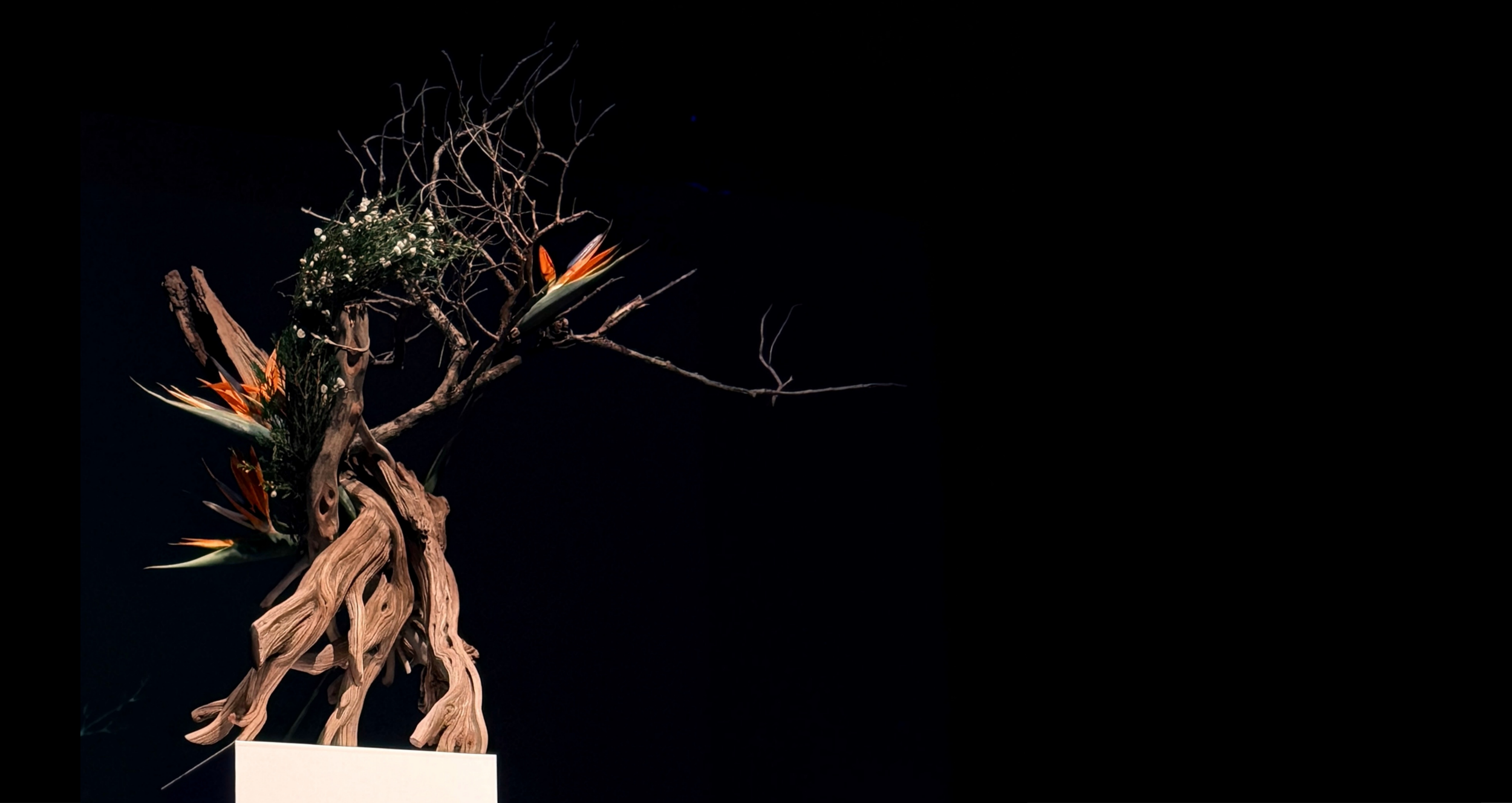 Hapax, 2026 · Public Exhibition · San Francisco, CA