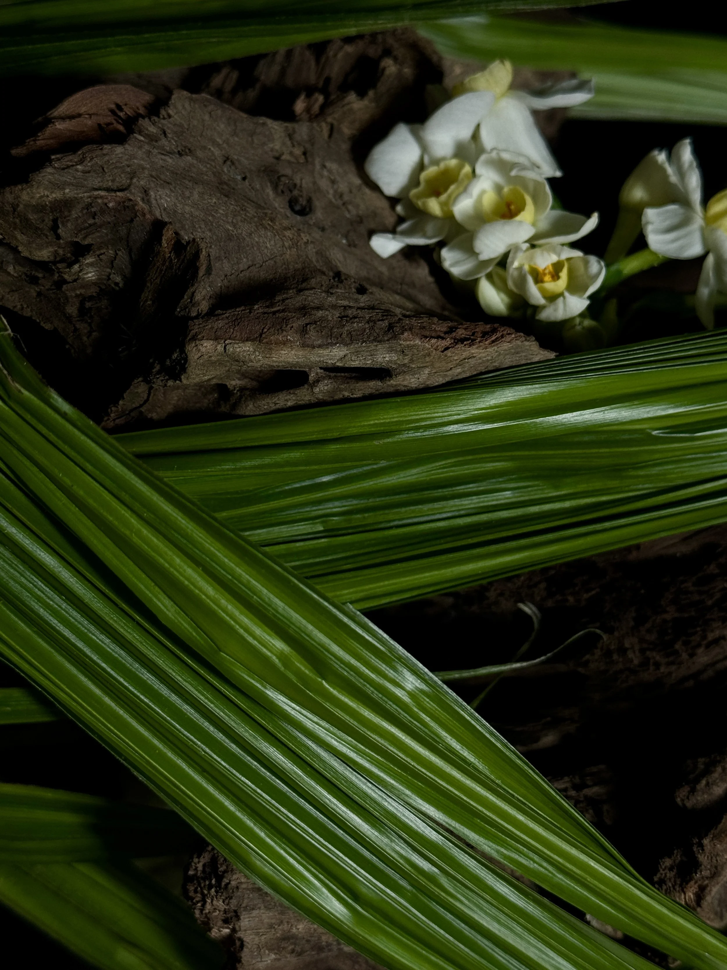An image of the Cultural Center.