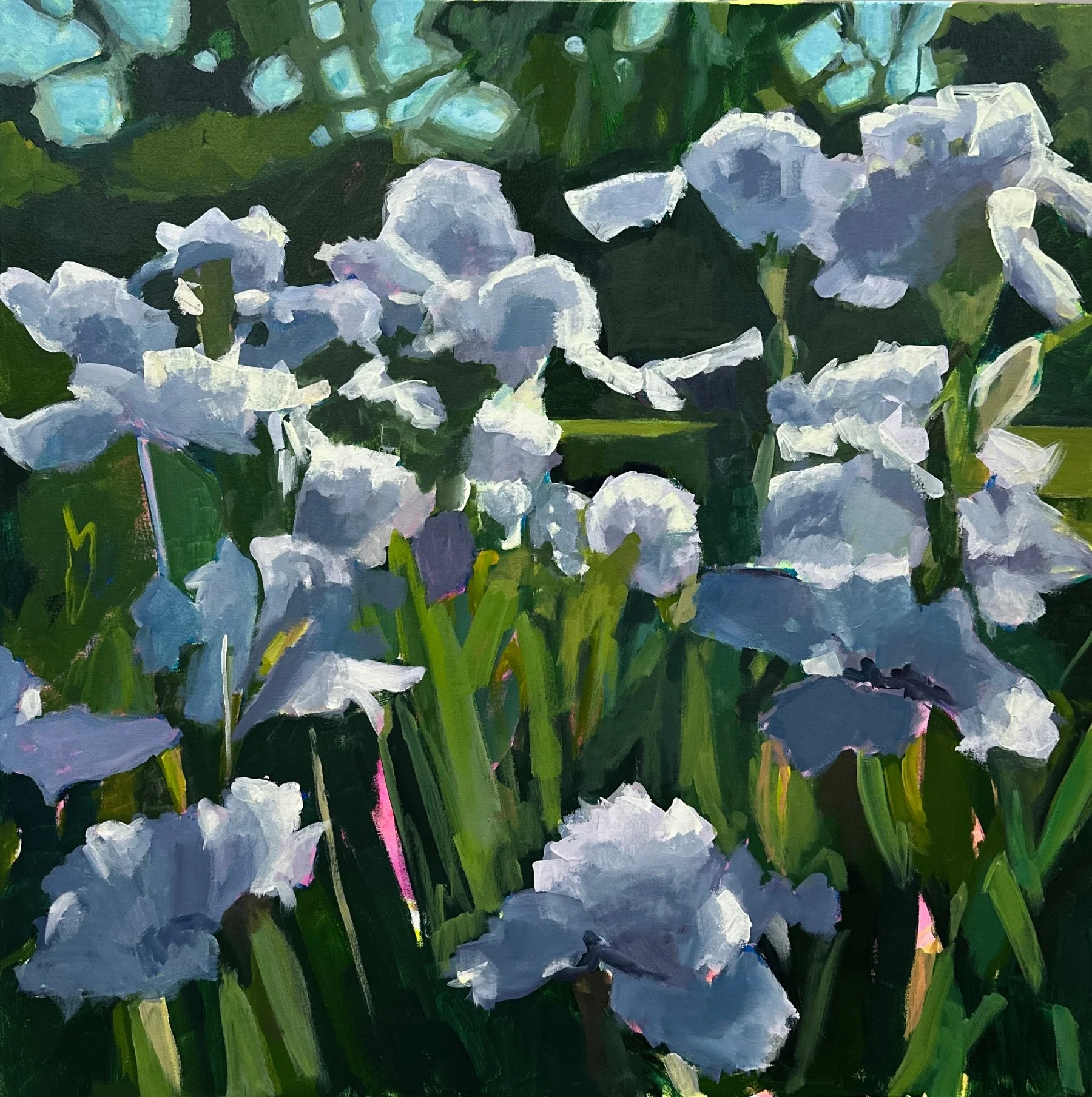 Irises (1).jpg