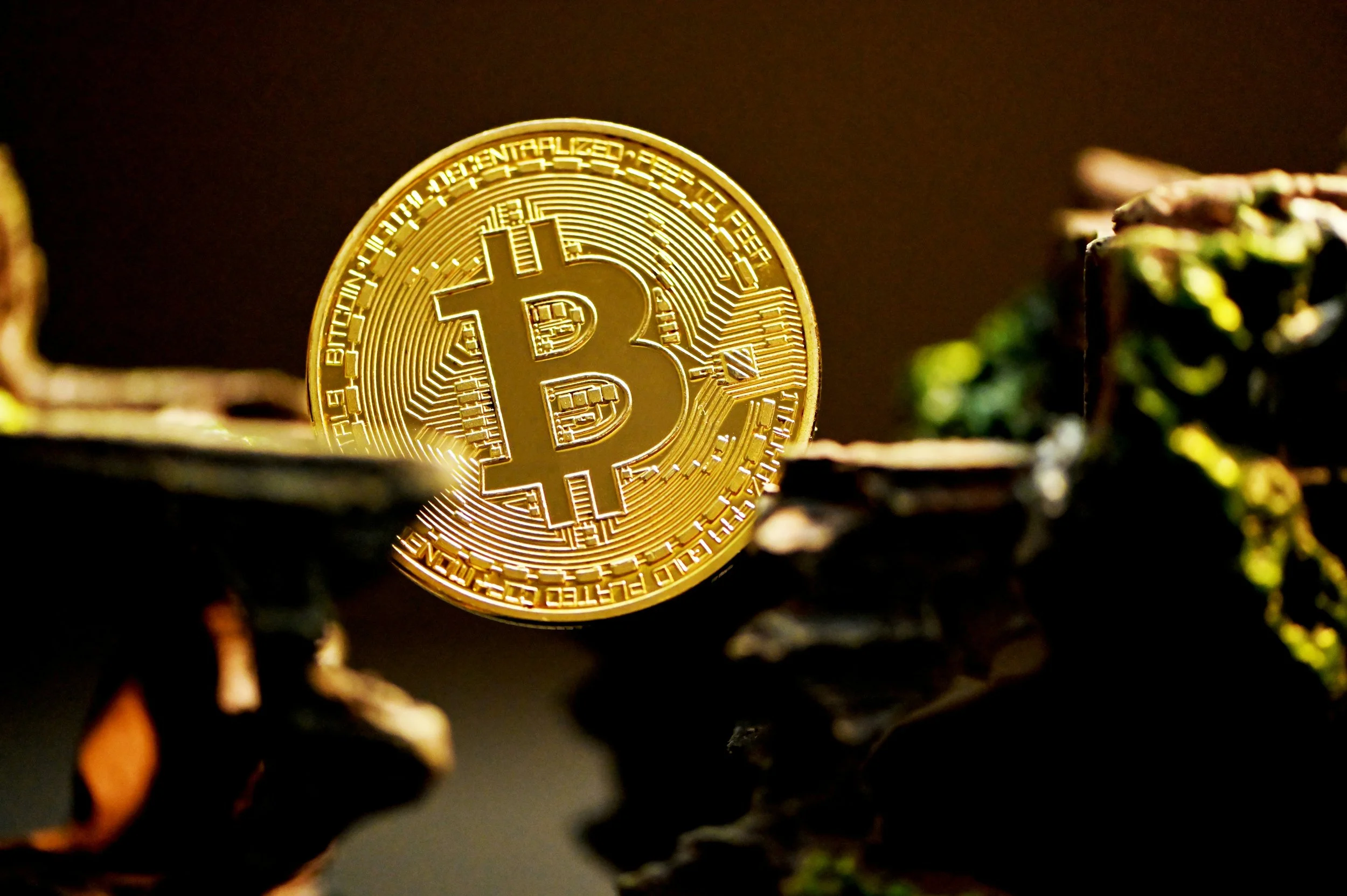 A gold Bitcoin coin is positioned between dark, rough rocks with colorful moss or lichen on them, against a dark background.