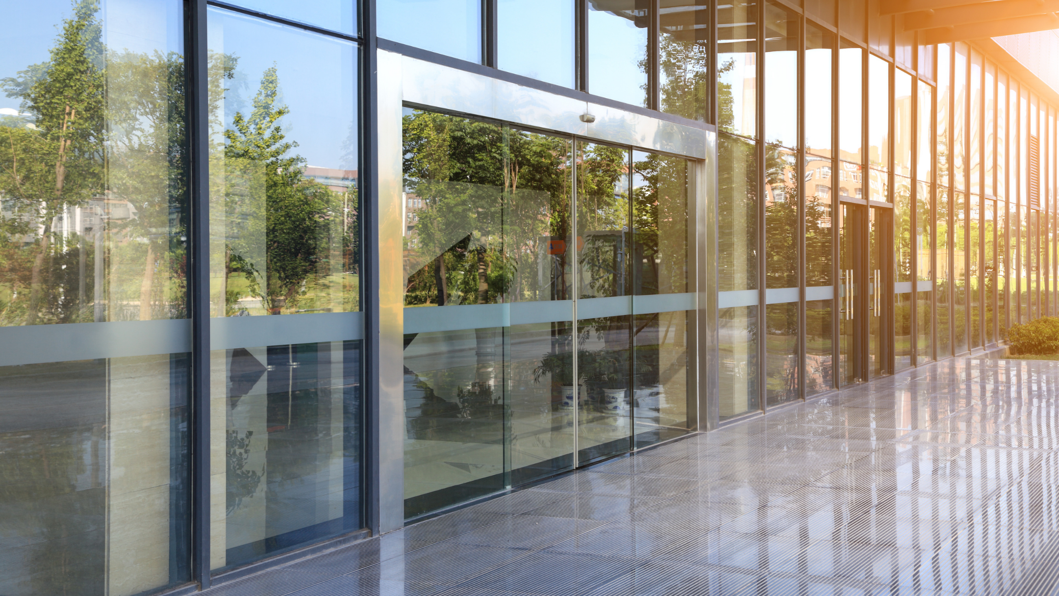 Why Security Window Film Is a Must-Have for Businesses in Fort Lauderdale