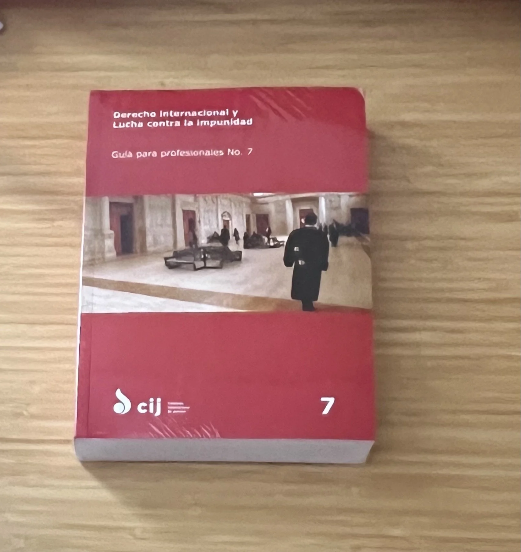 Derecho internacional y la lucha contra la impunidad (Spanish ed)