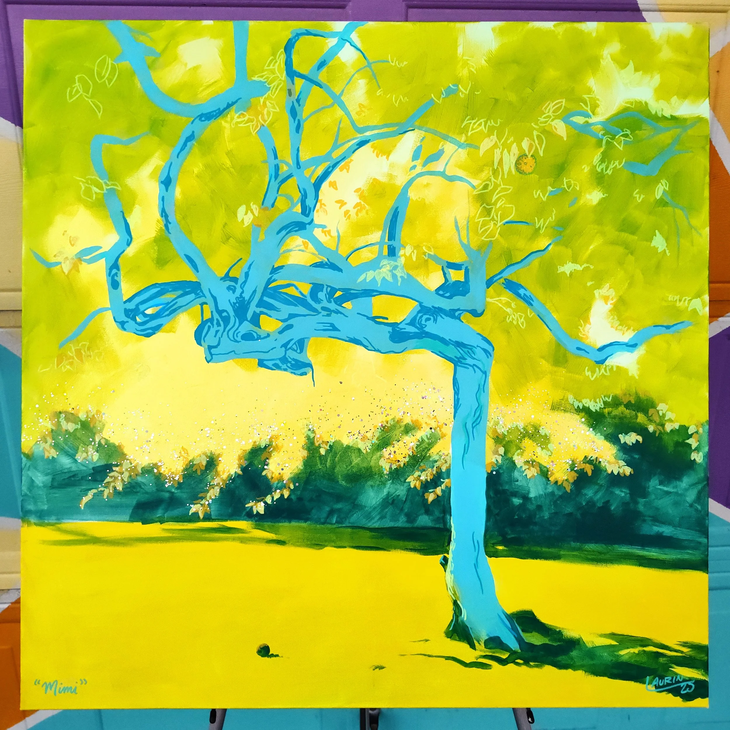 MIMI - Osage Orange / Bois D'arc, 40-50 years old, located in Leonard L. Woods Park.


THE NAME: "Mimi" is a tribute to both the Osage and French languages. "Mi-Ho'n" means "Sun Woman" in Osage; "Mimi" is a French nickname.


DIRECTIONS: From the par