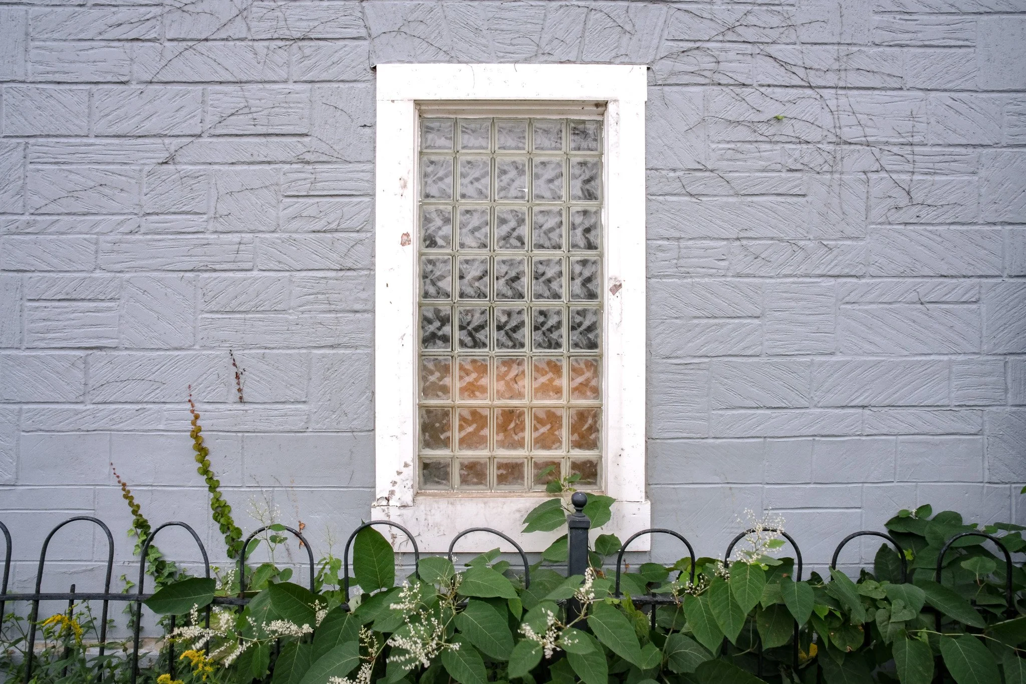 A gray concrete block wall with a central window made of small glass blocks in a white frame, surrounded by some overgrown plants and a black metal fence in front.