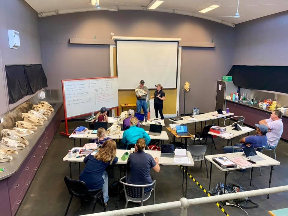 Students in class at AELEC