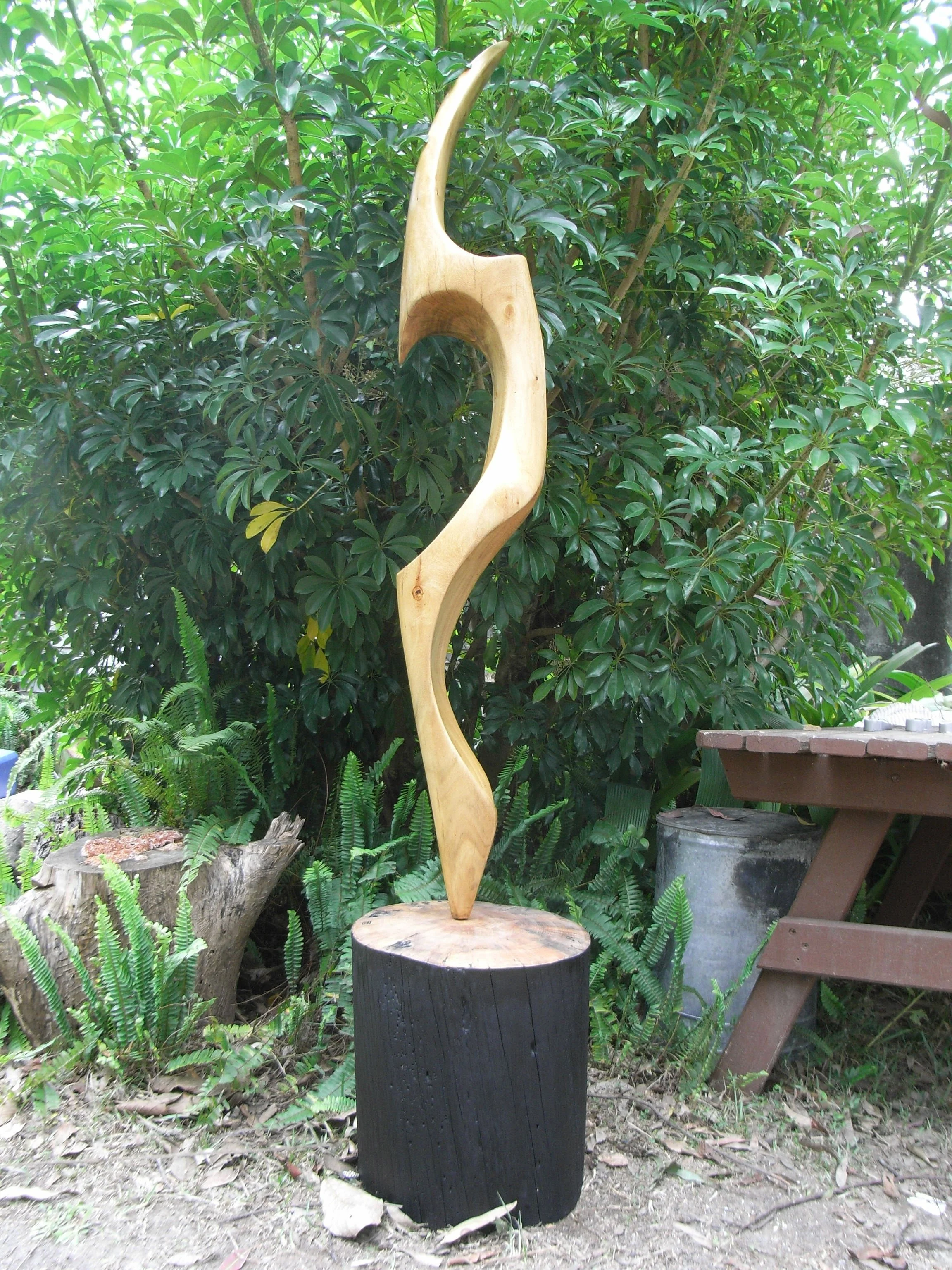 rimg0872.jpg