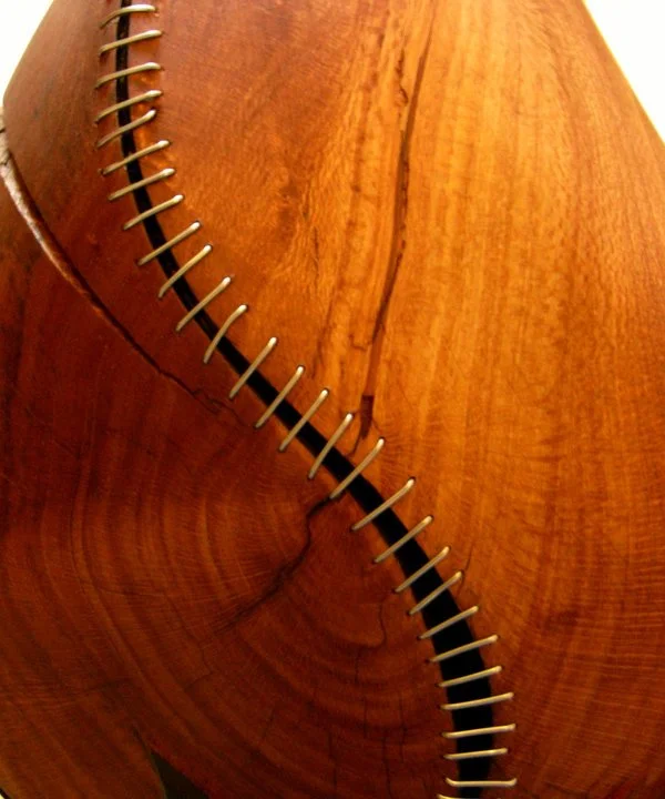 detail of banksia pod .jpg
