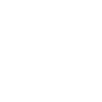 Compass icon representing clear financial direction and personalised strategy.