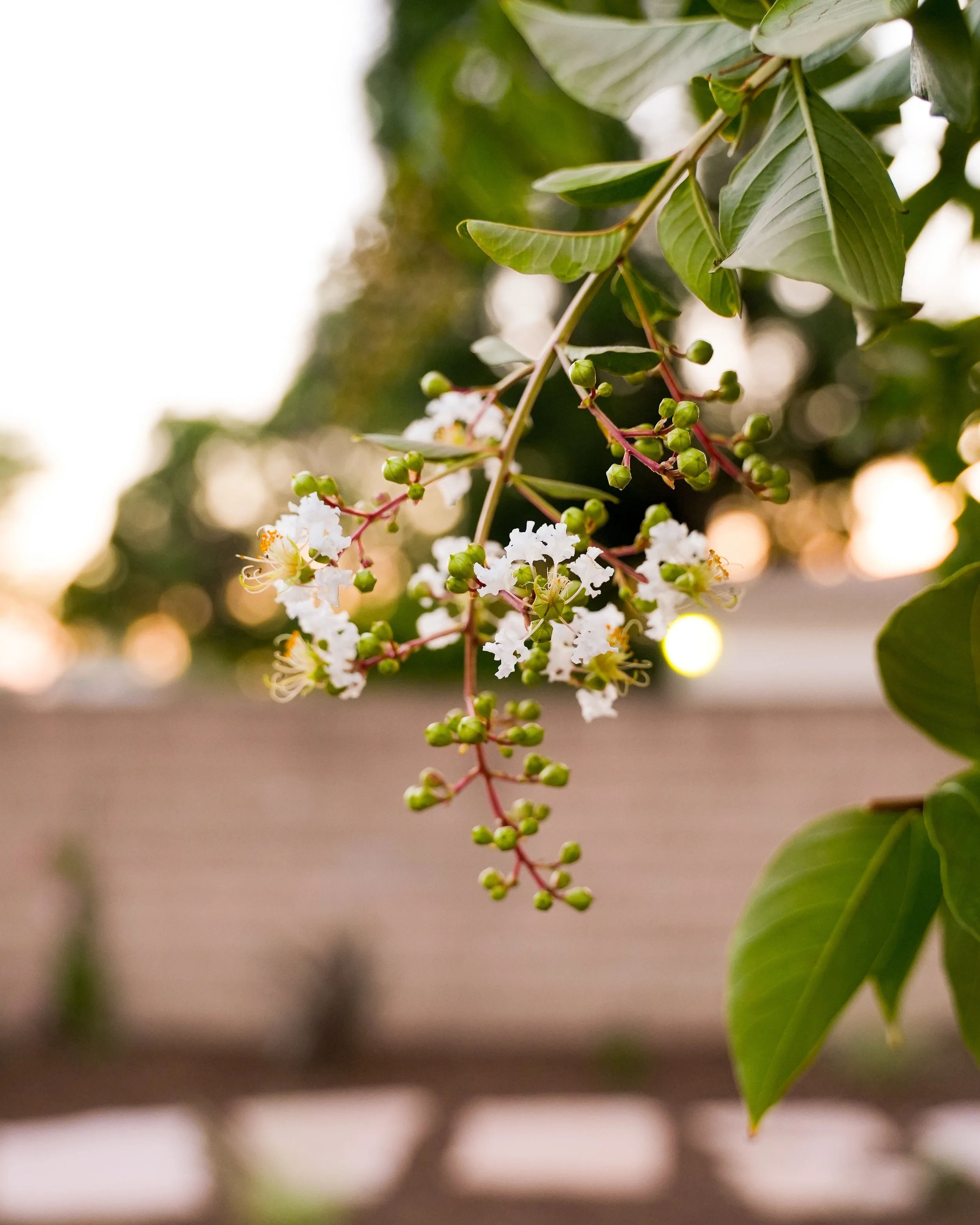 DSC02914-2.jpg