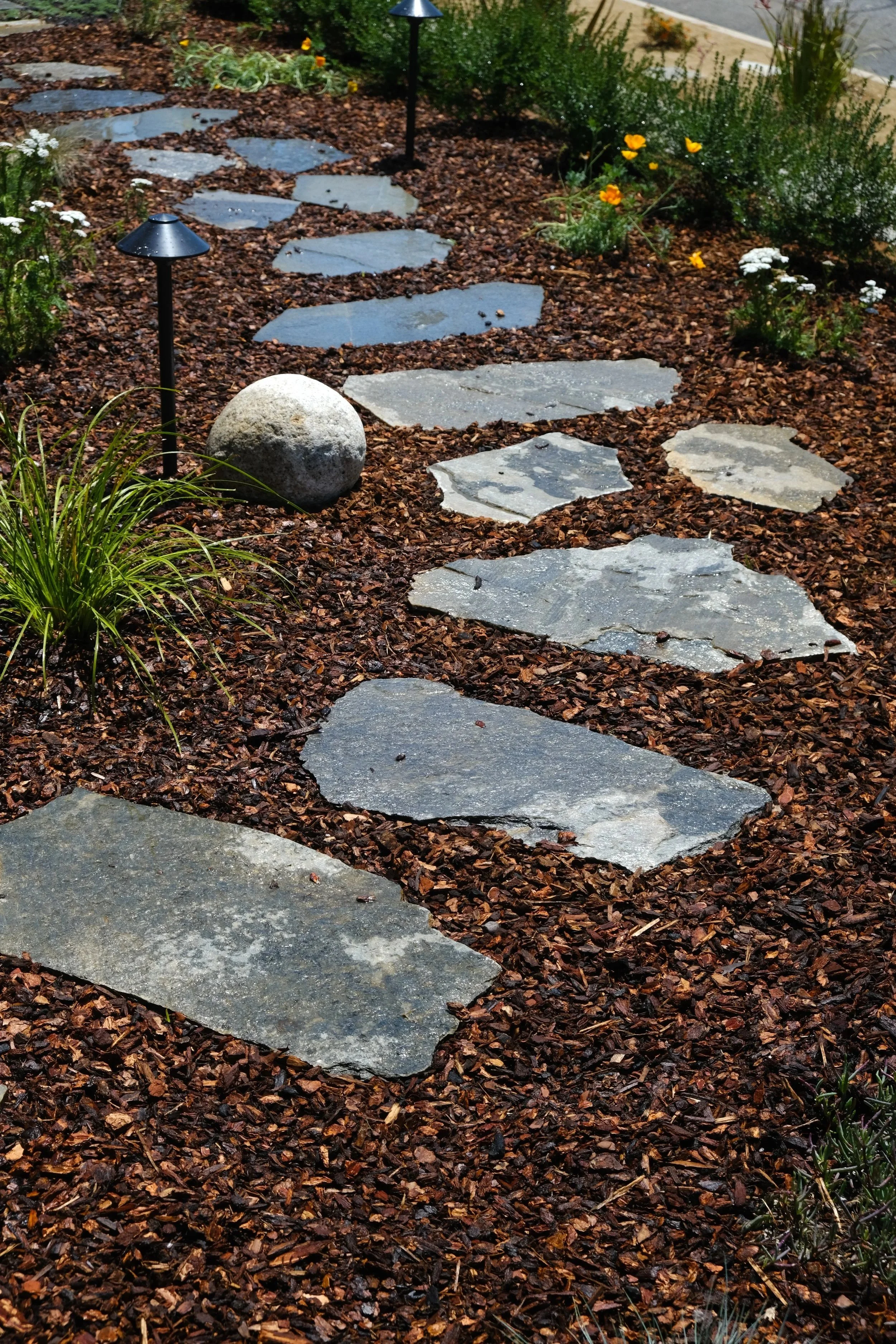 DSCF8516.jpg