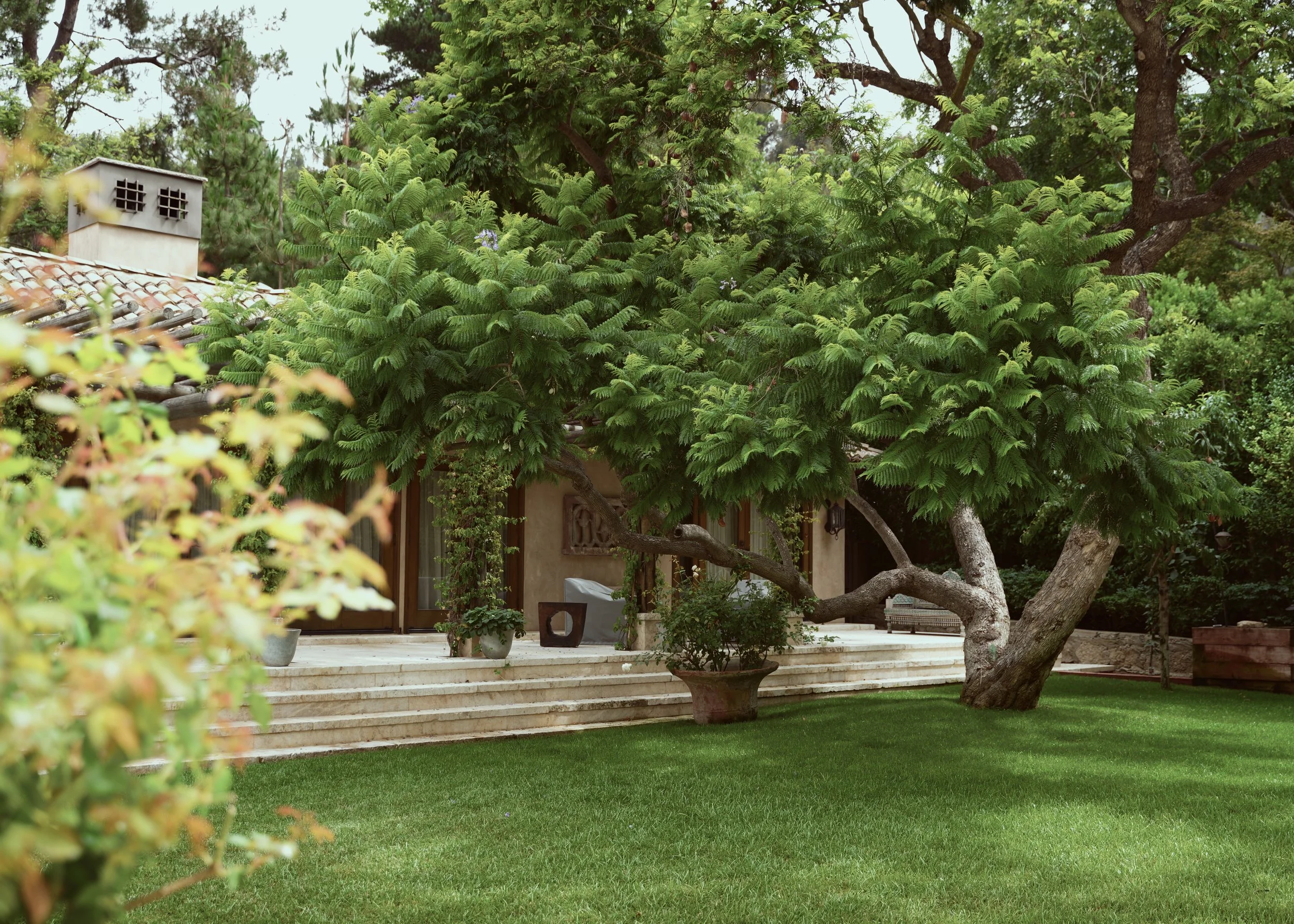 A backyard with lush green grass, a large tree with a thick trunk and drooping branches, potted plants, and a house with a porch and steps.