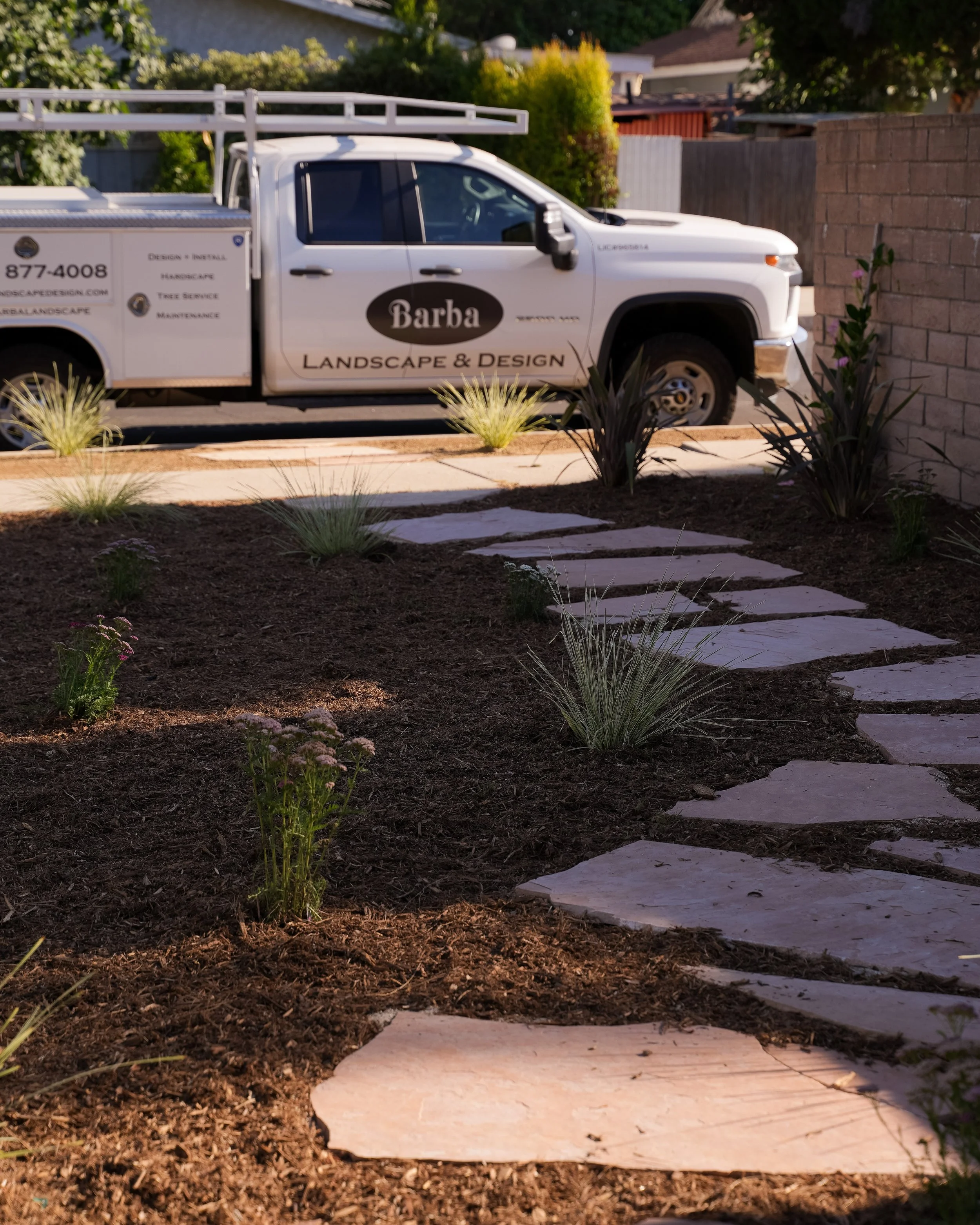 A landscaped yard with a stone pathway, small plants, and bushes. In the background, a white landscaping truck with the words 'Barba Landscape & Design' parked near a brick wall.