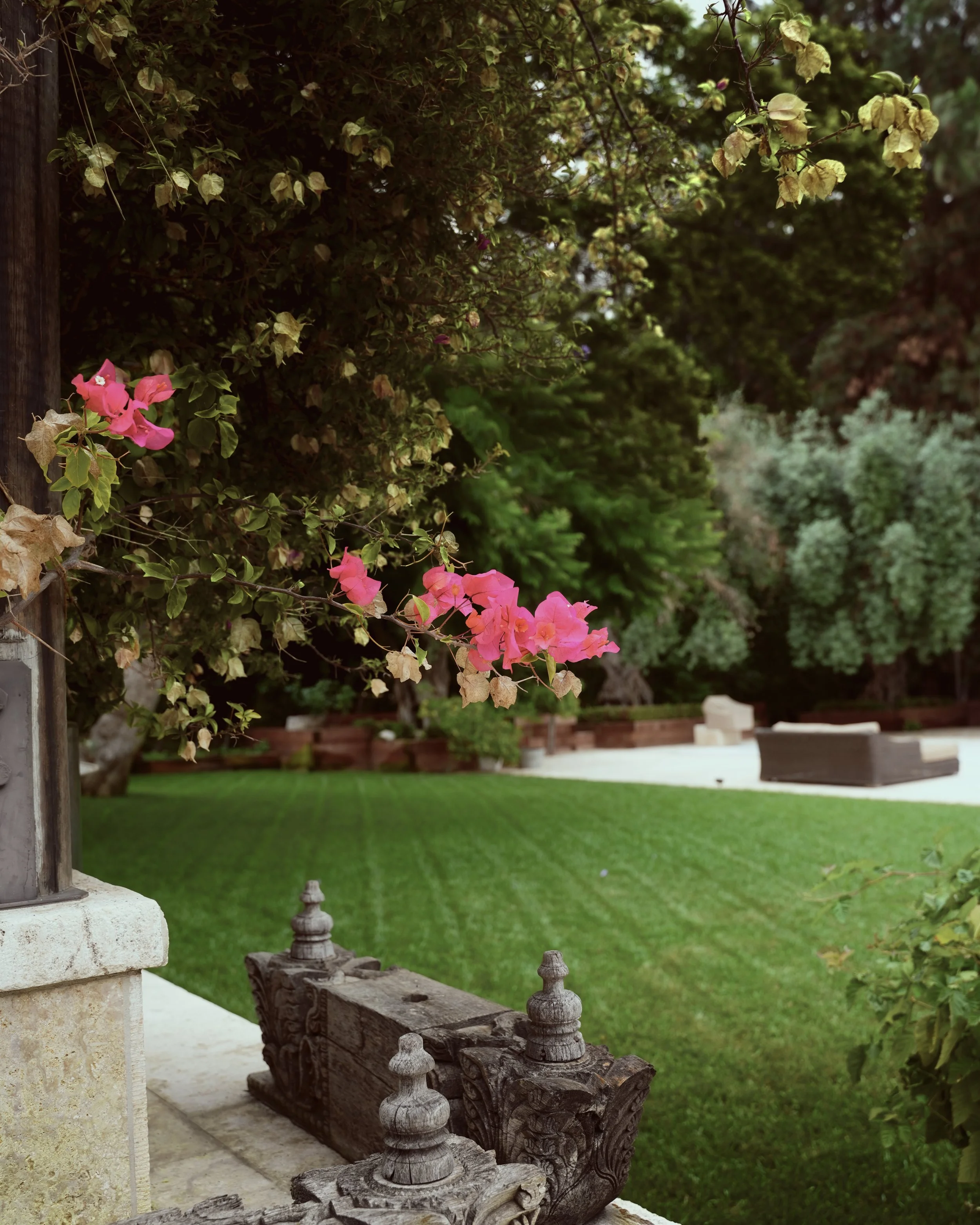 A backyard with green manicured grass, trees, and outdoor furniture in the background. Pink flowers and dried leaves are in the foreground.