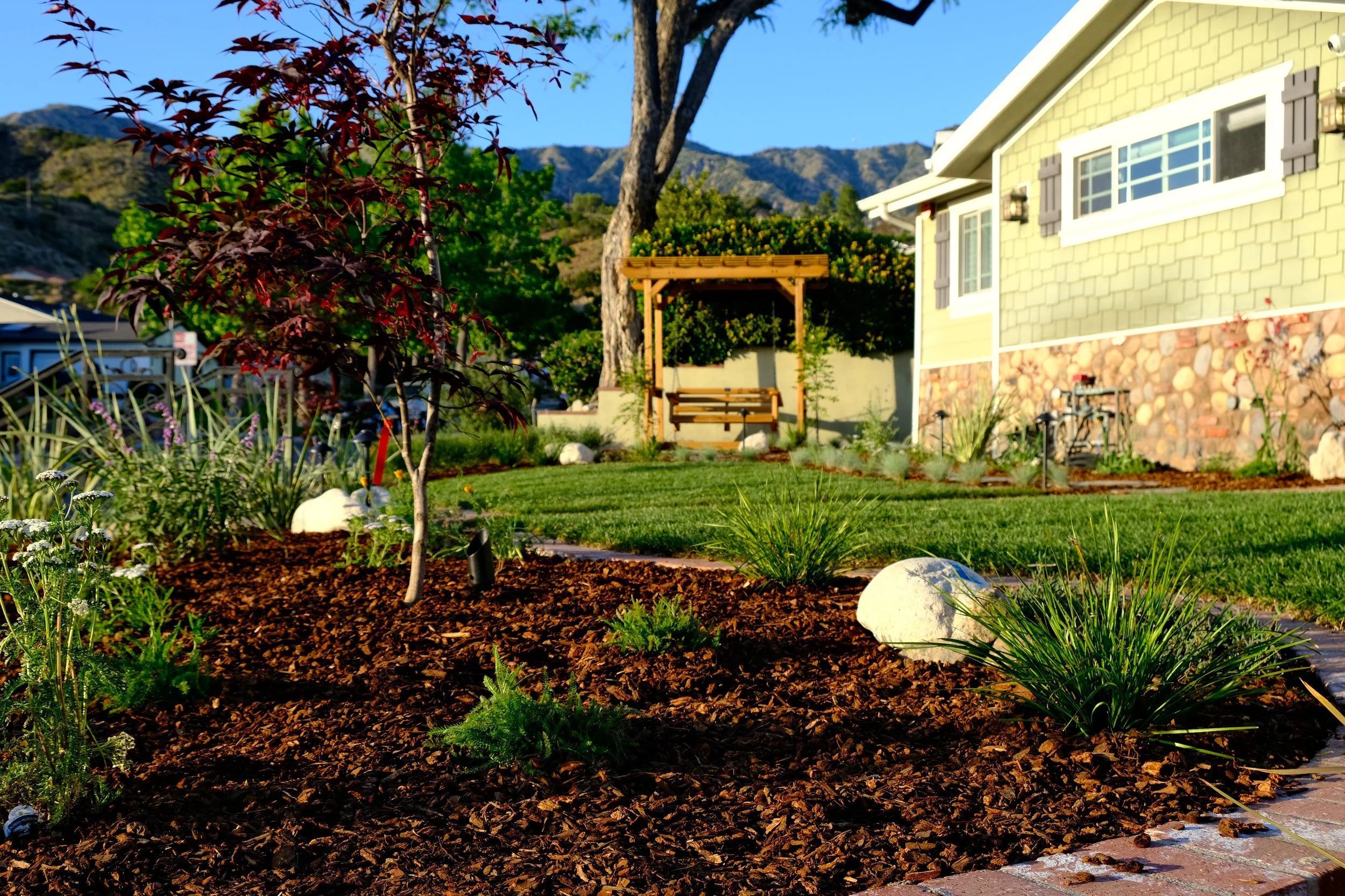 A well-maintained front yard garden with a young tree, various plants, and decorative white rocks. In the background is a yellow house with a stone foundation and mountains behind.