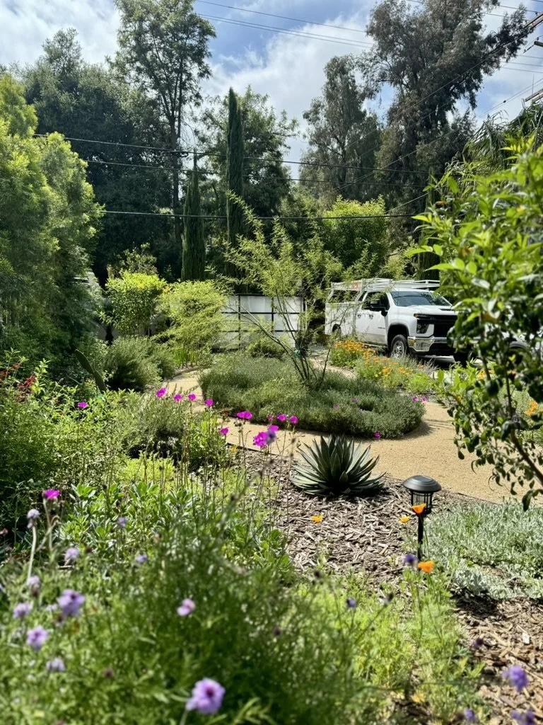 Landscape Design + Build