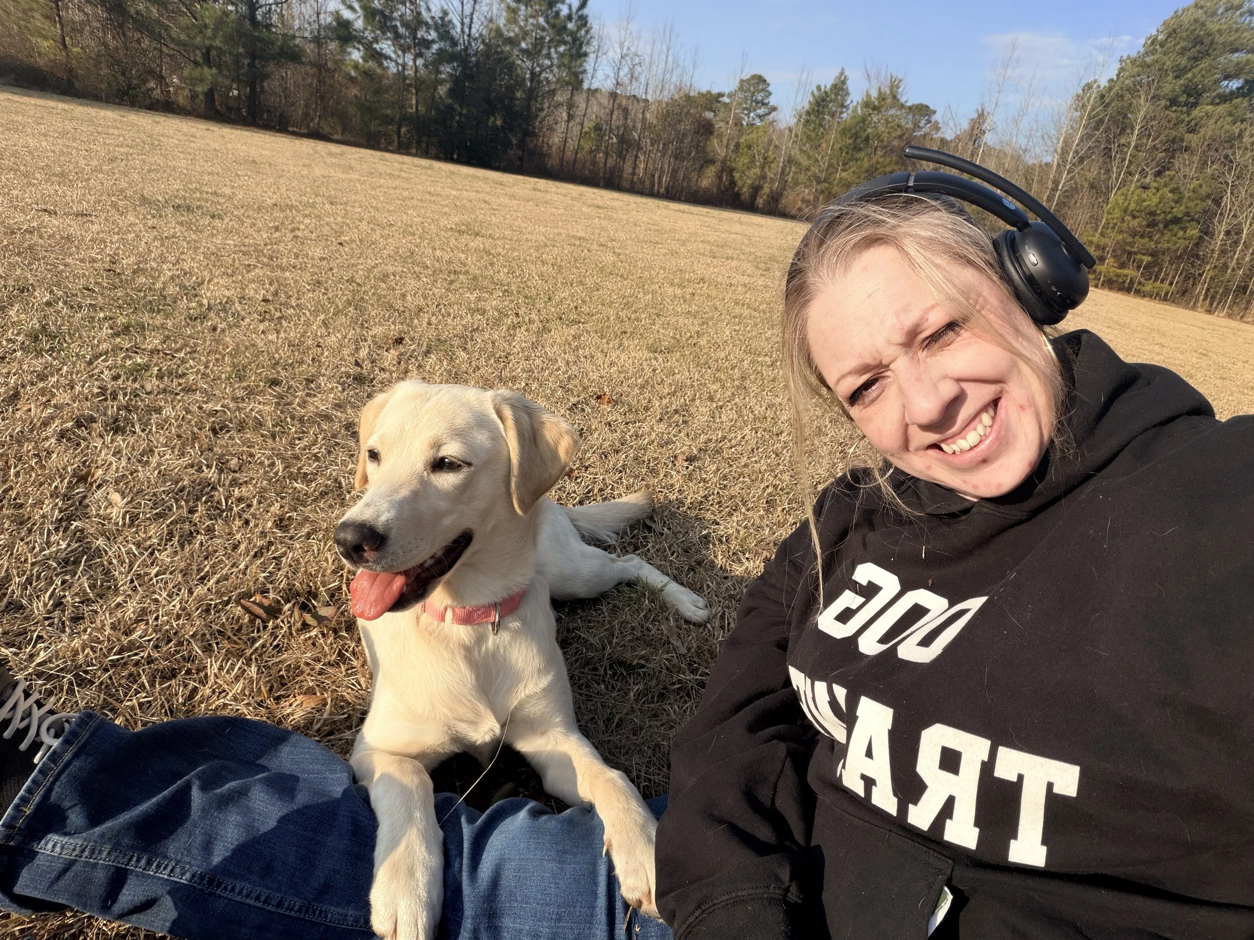 Free Educational Guidance