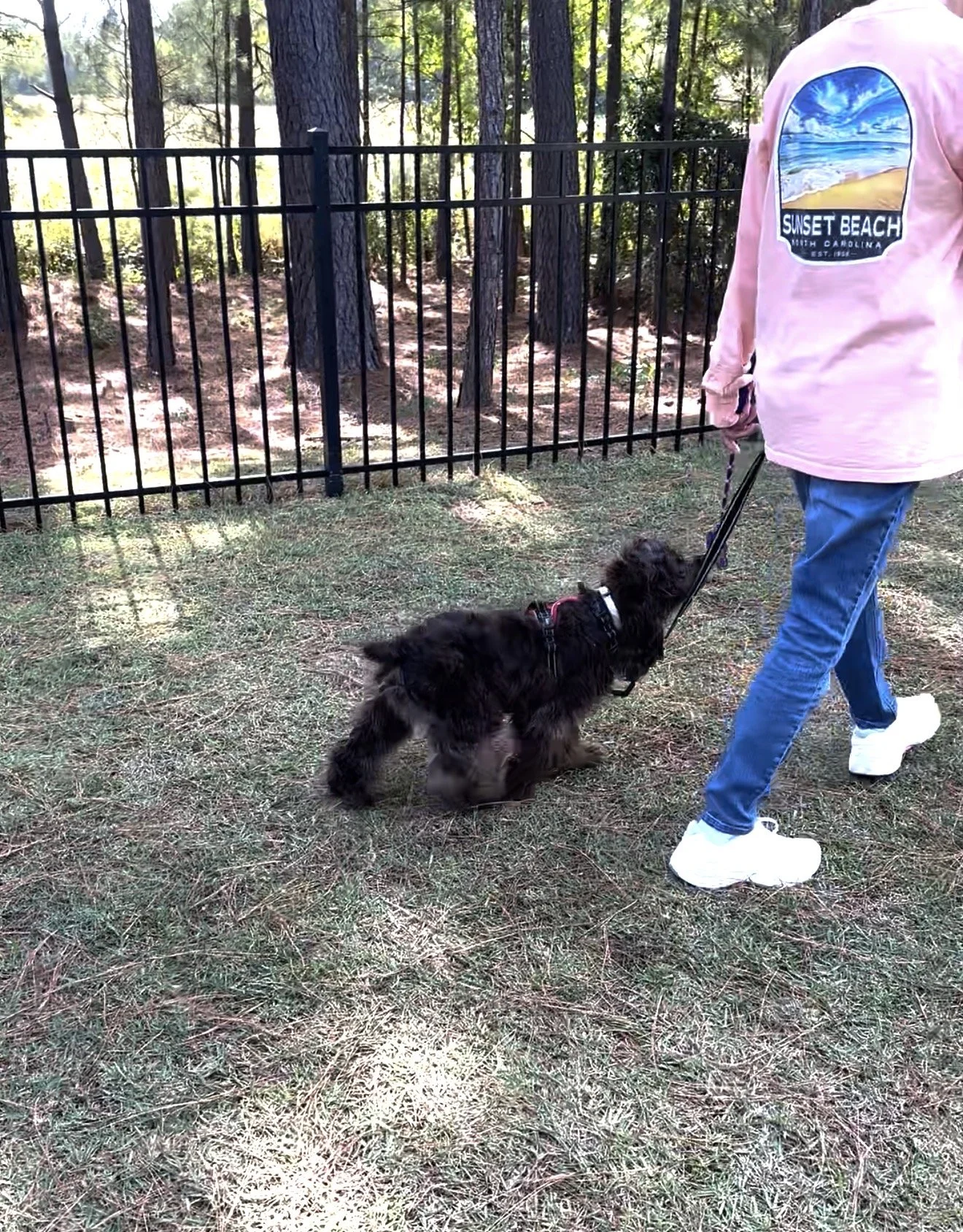 Private Training Sessions